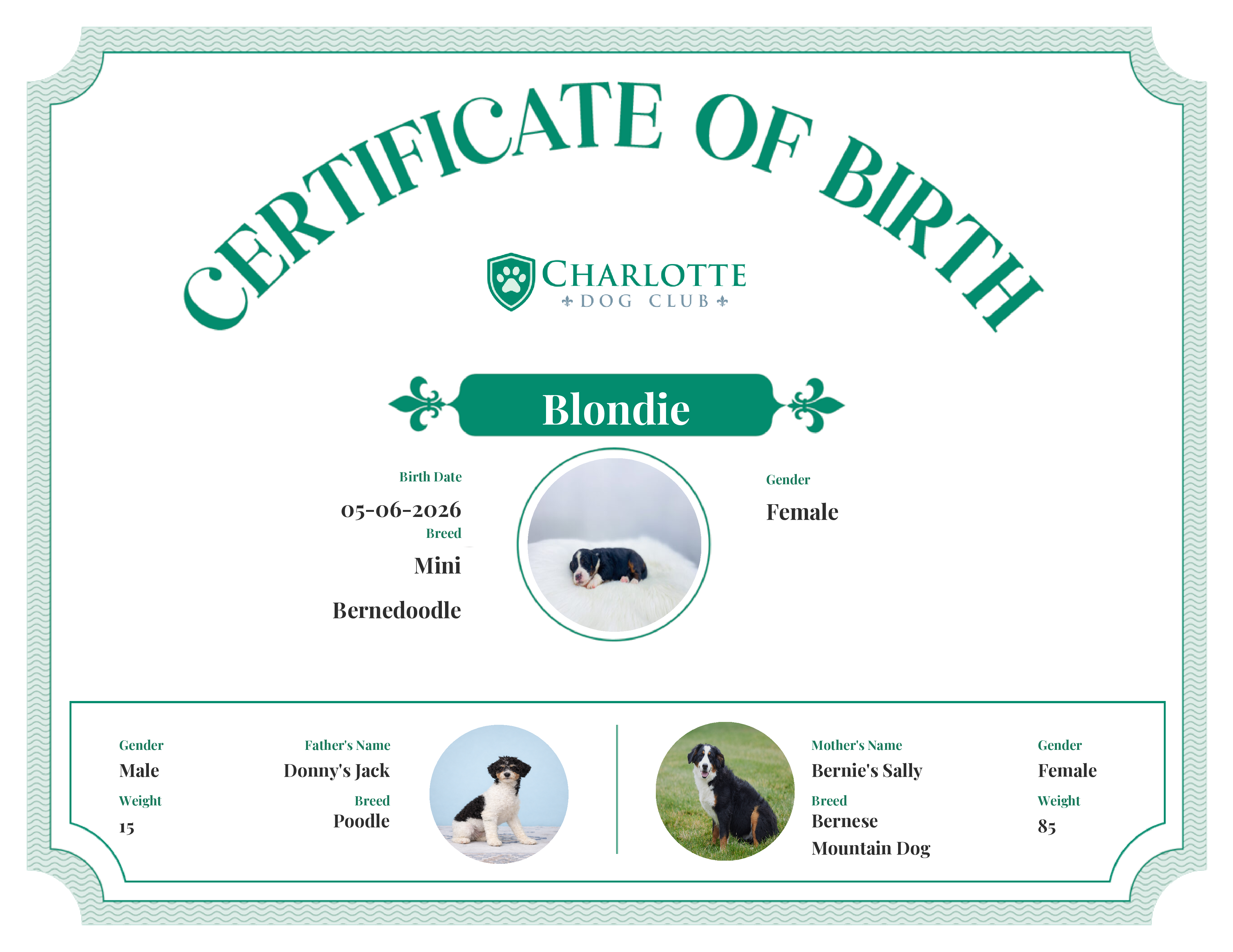 Blondie's Birth Certificate