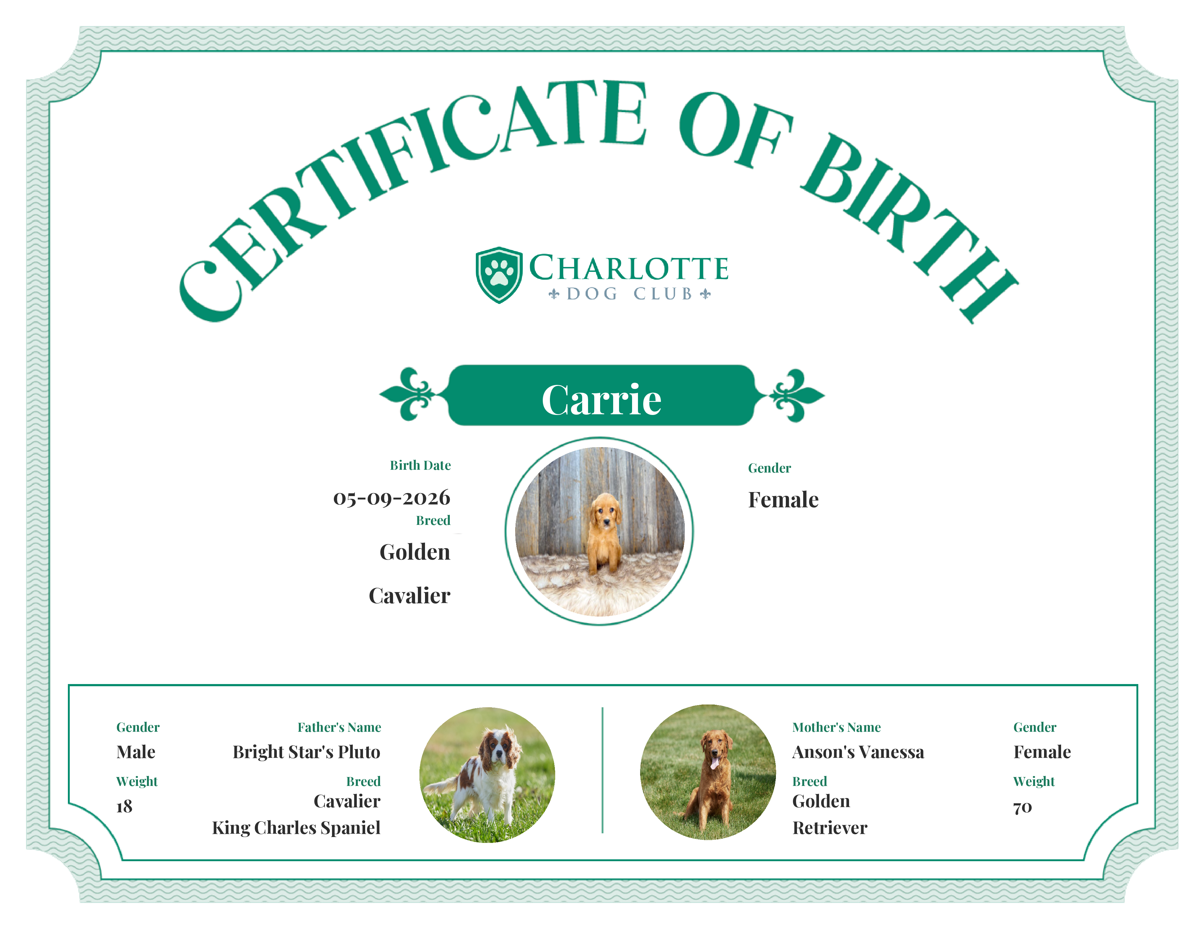 Carrie's Birth Certificate