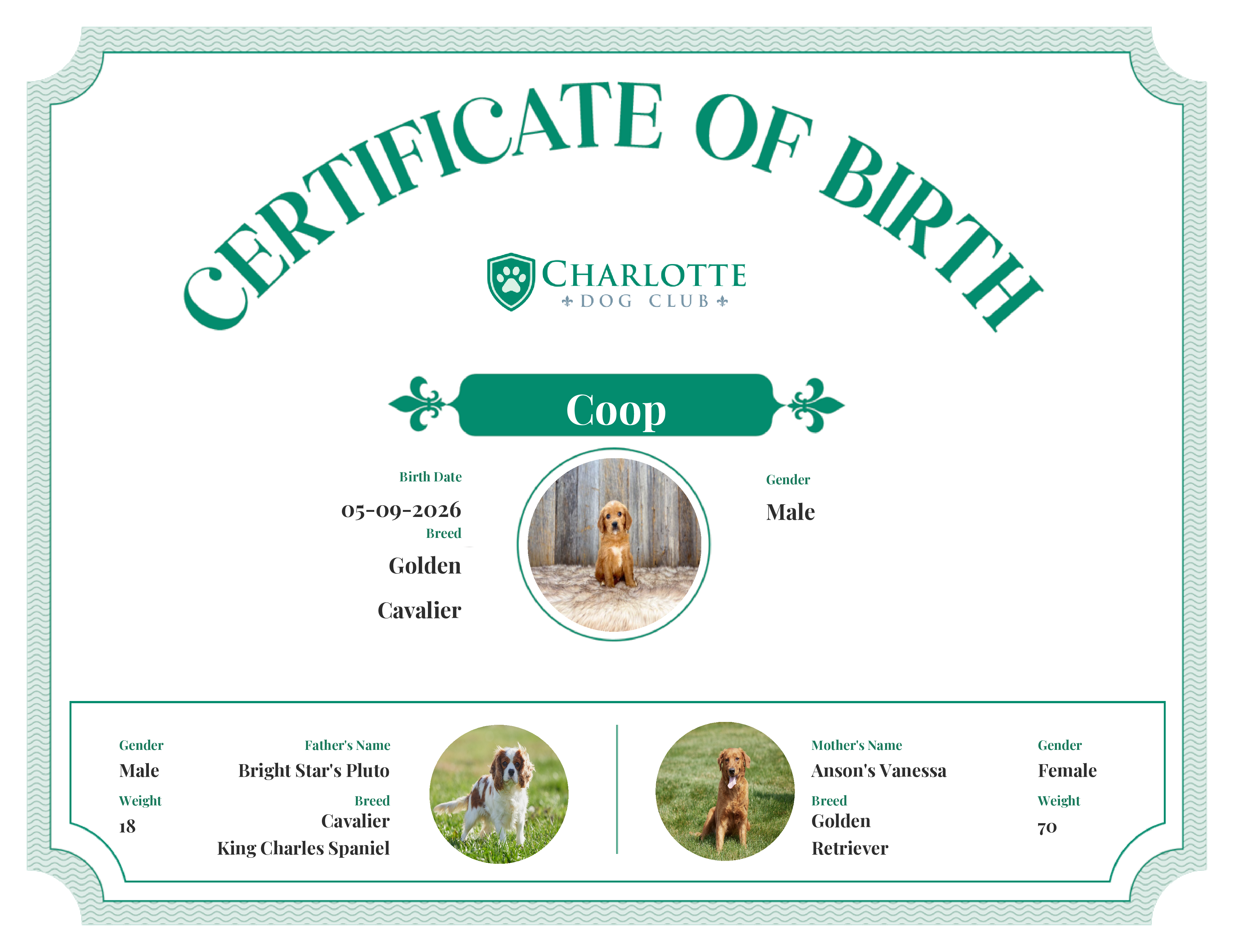 Coop's Birth Certificate