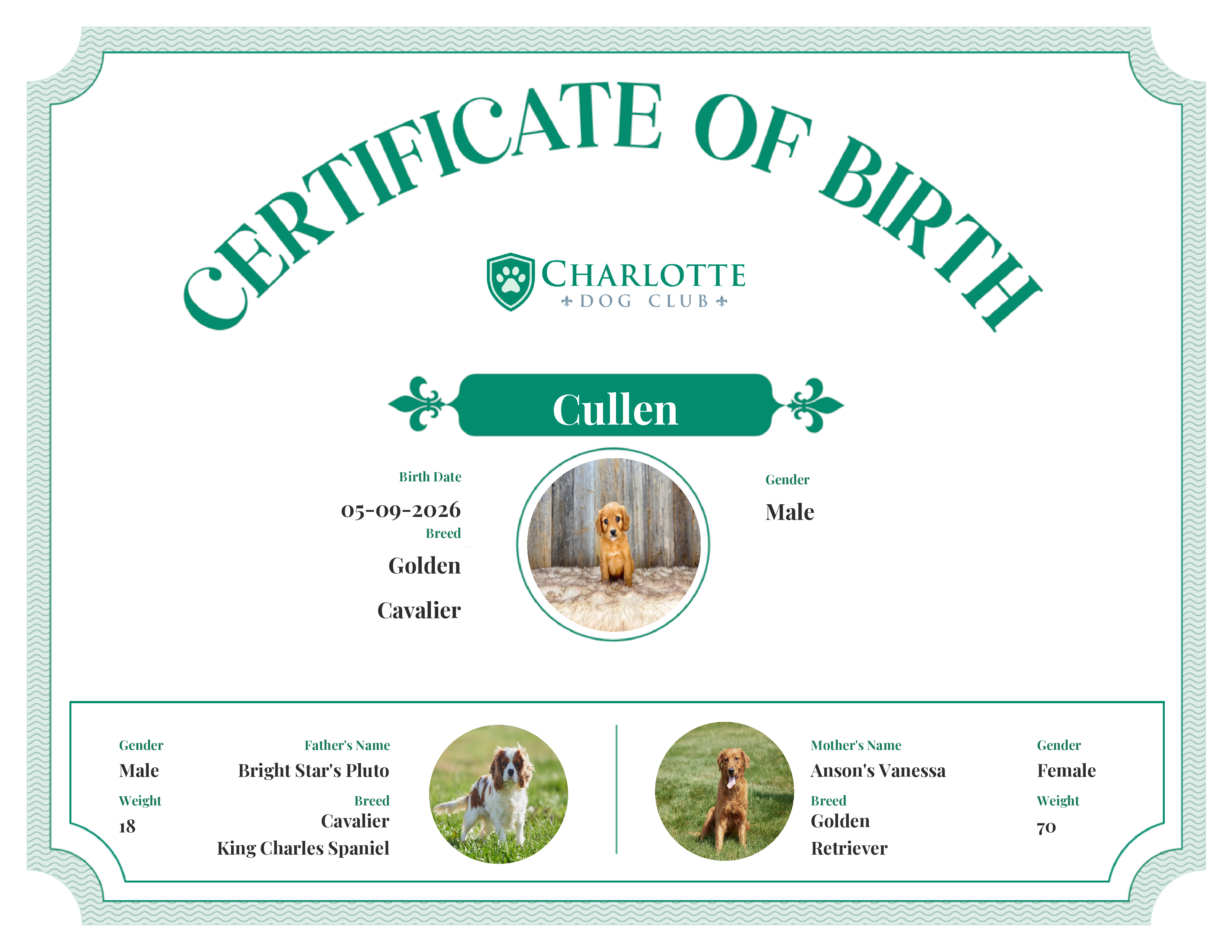 Cullen's Birth Certificate