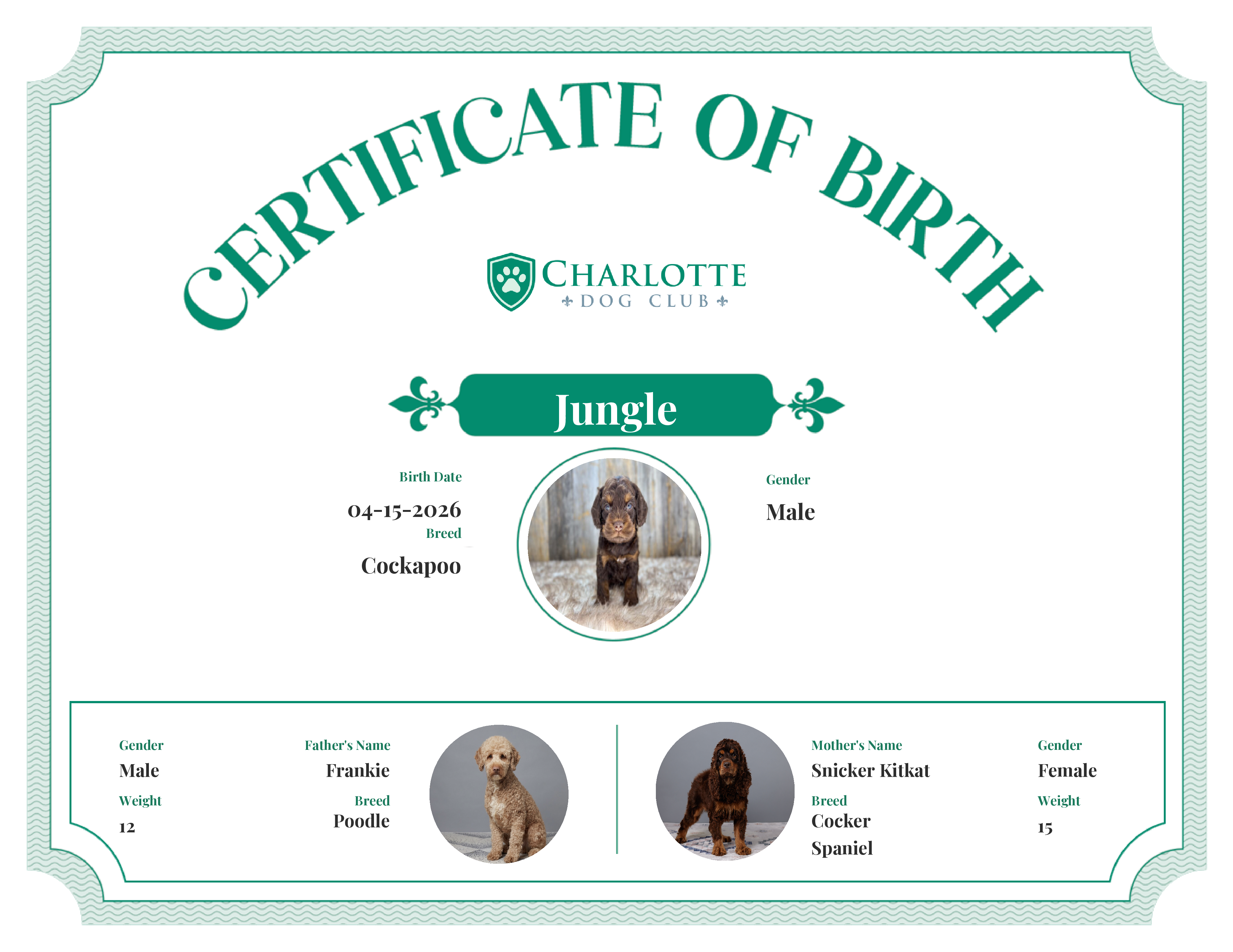 Jungle's Birth Certificate