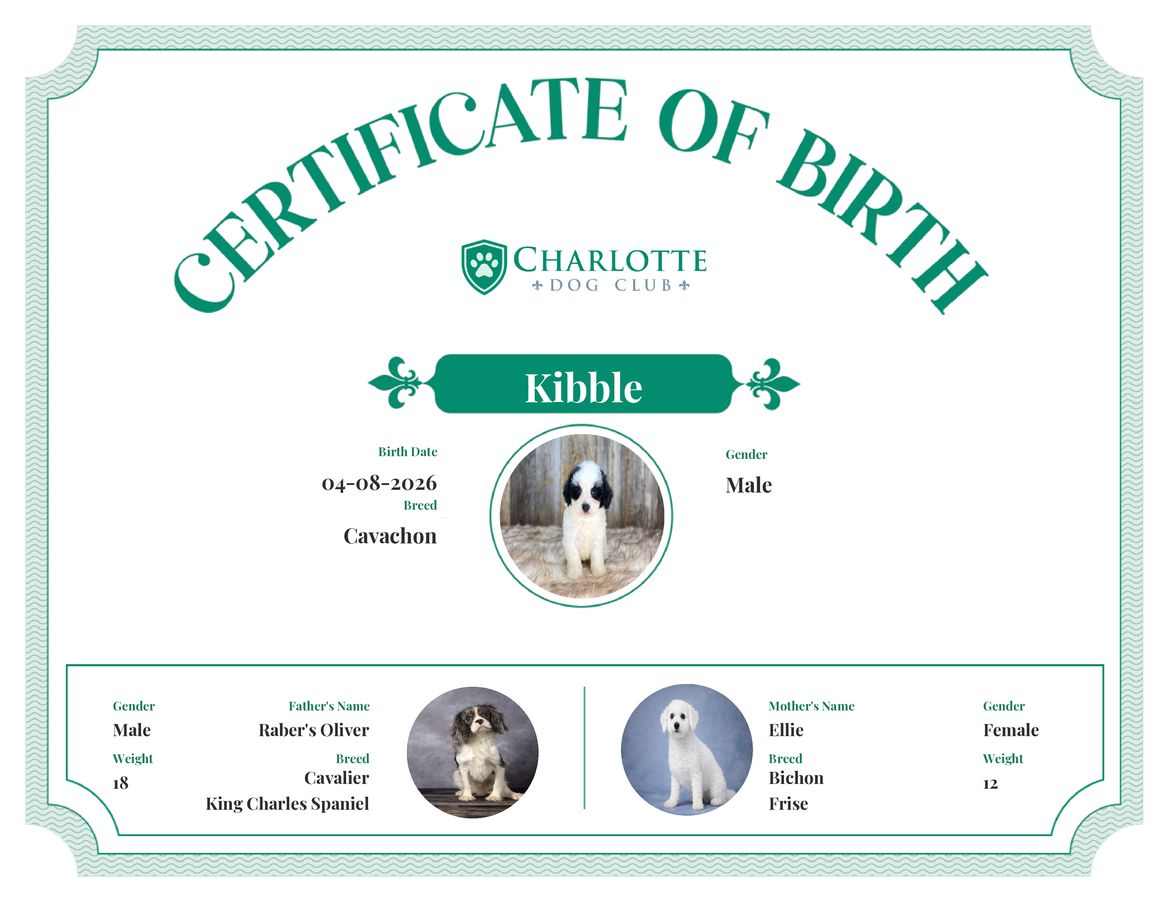 Kibble's Birth Certificate