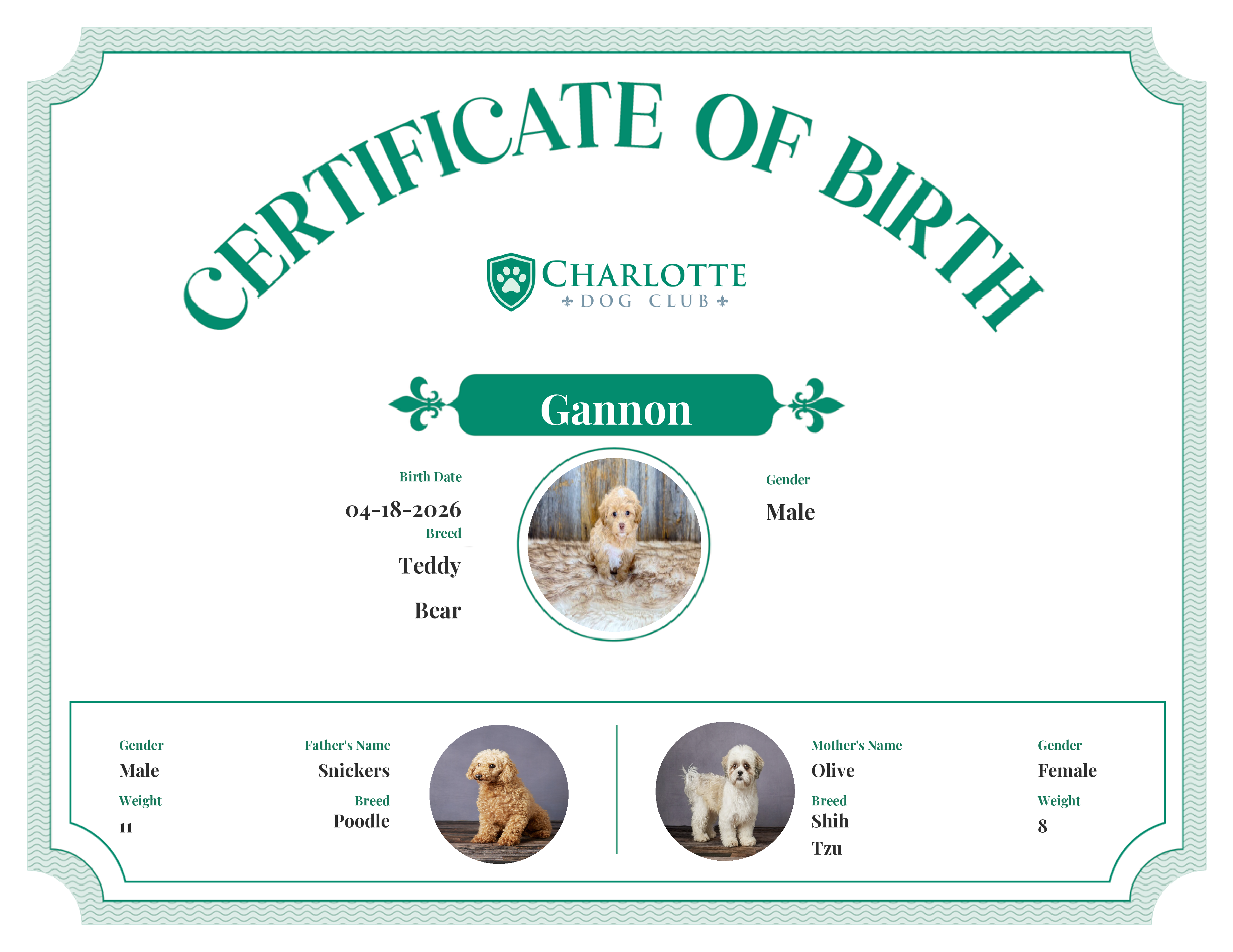 Gannon's Birth Certificate