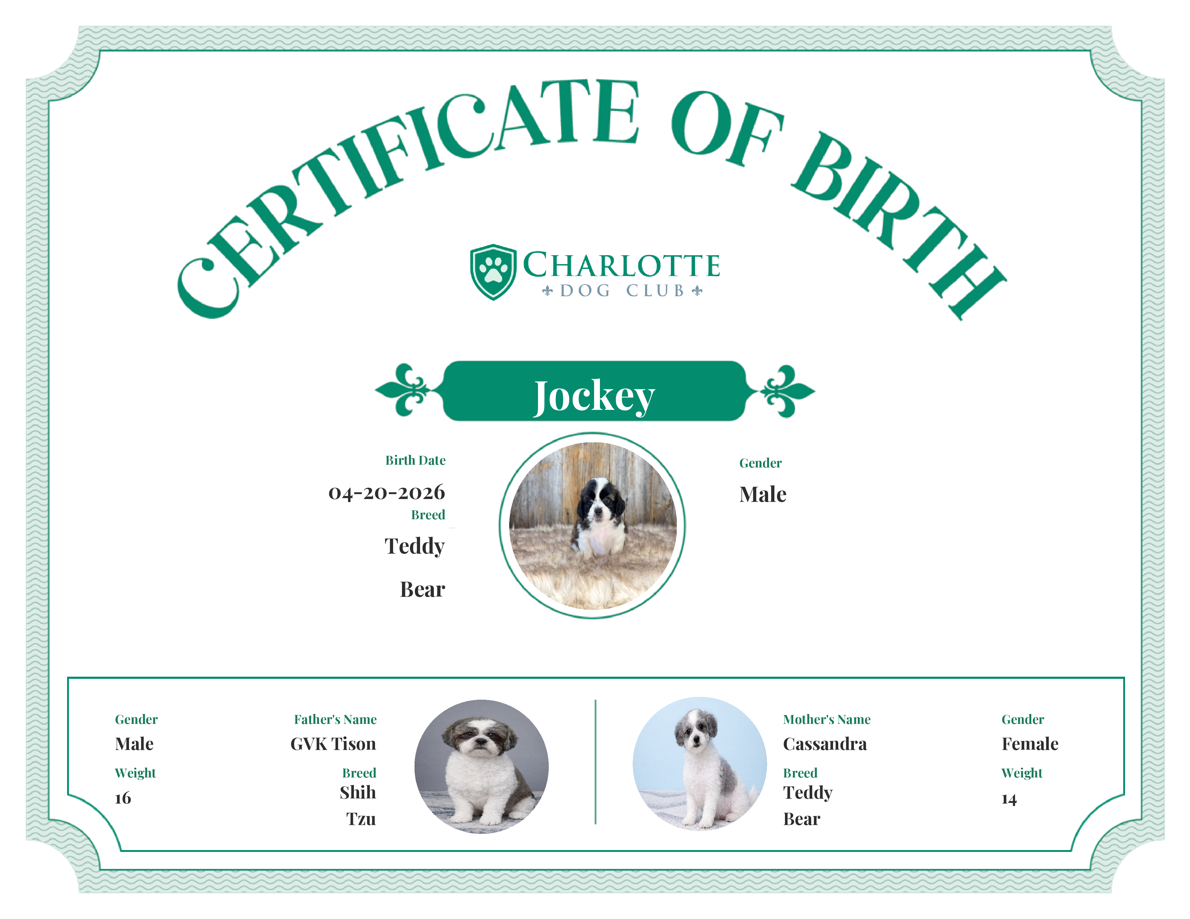 Jockey's Birth Certificate