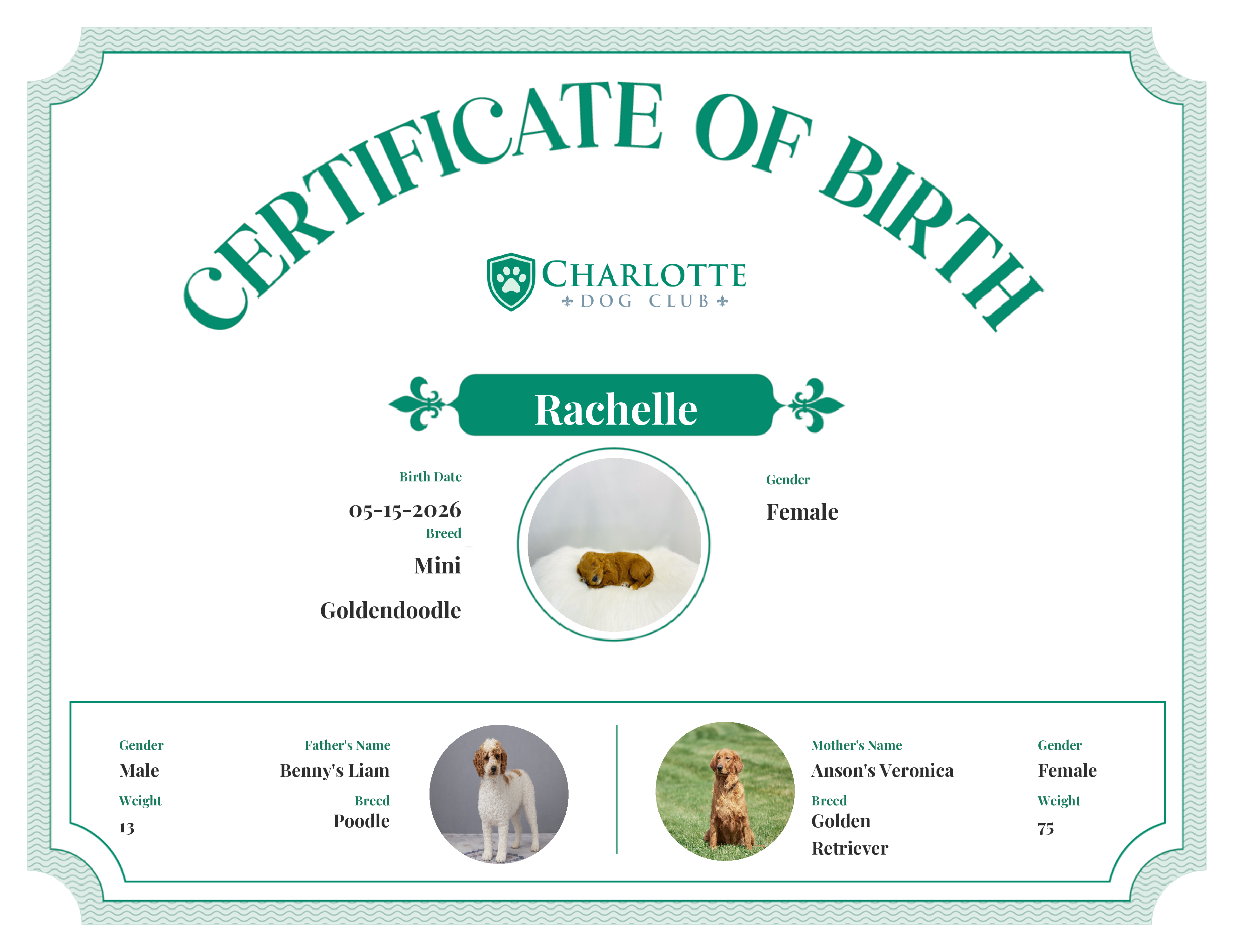 Rachelle's Birth Certificate