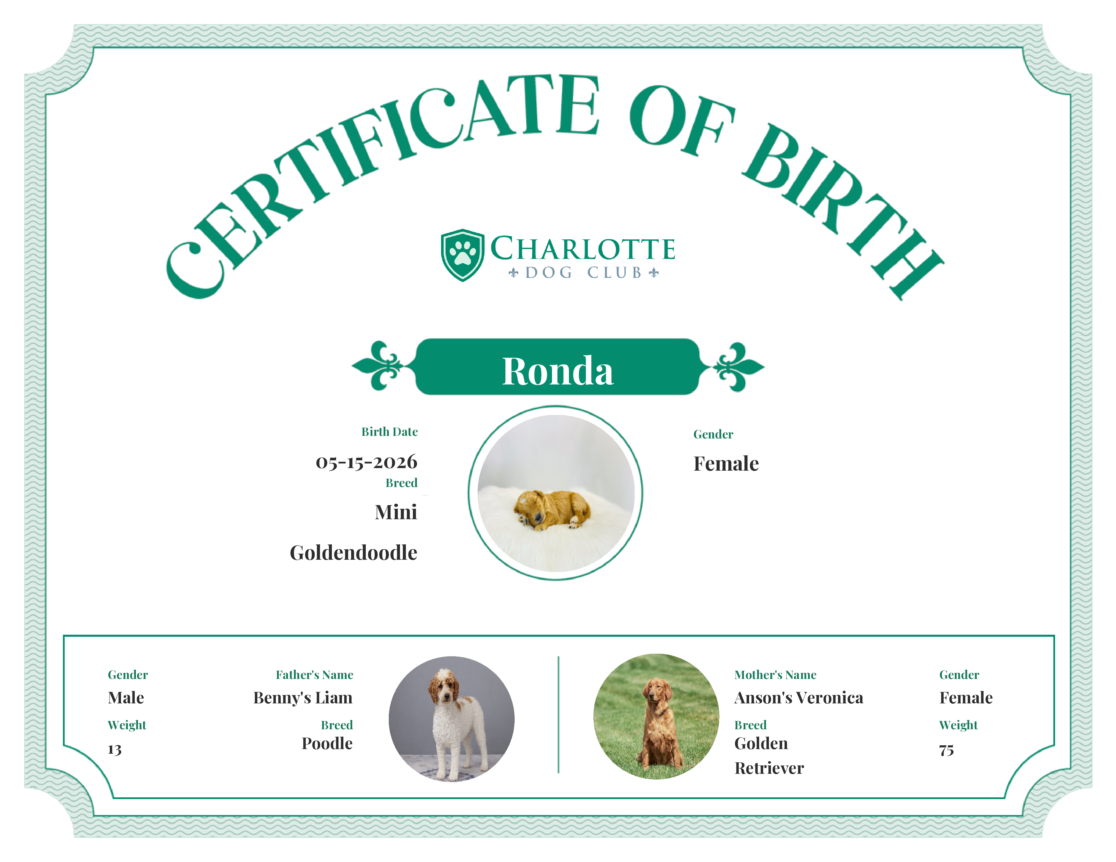 Ronda's Birth Certificate