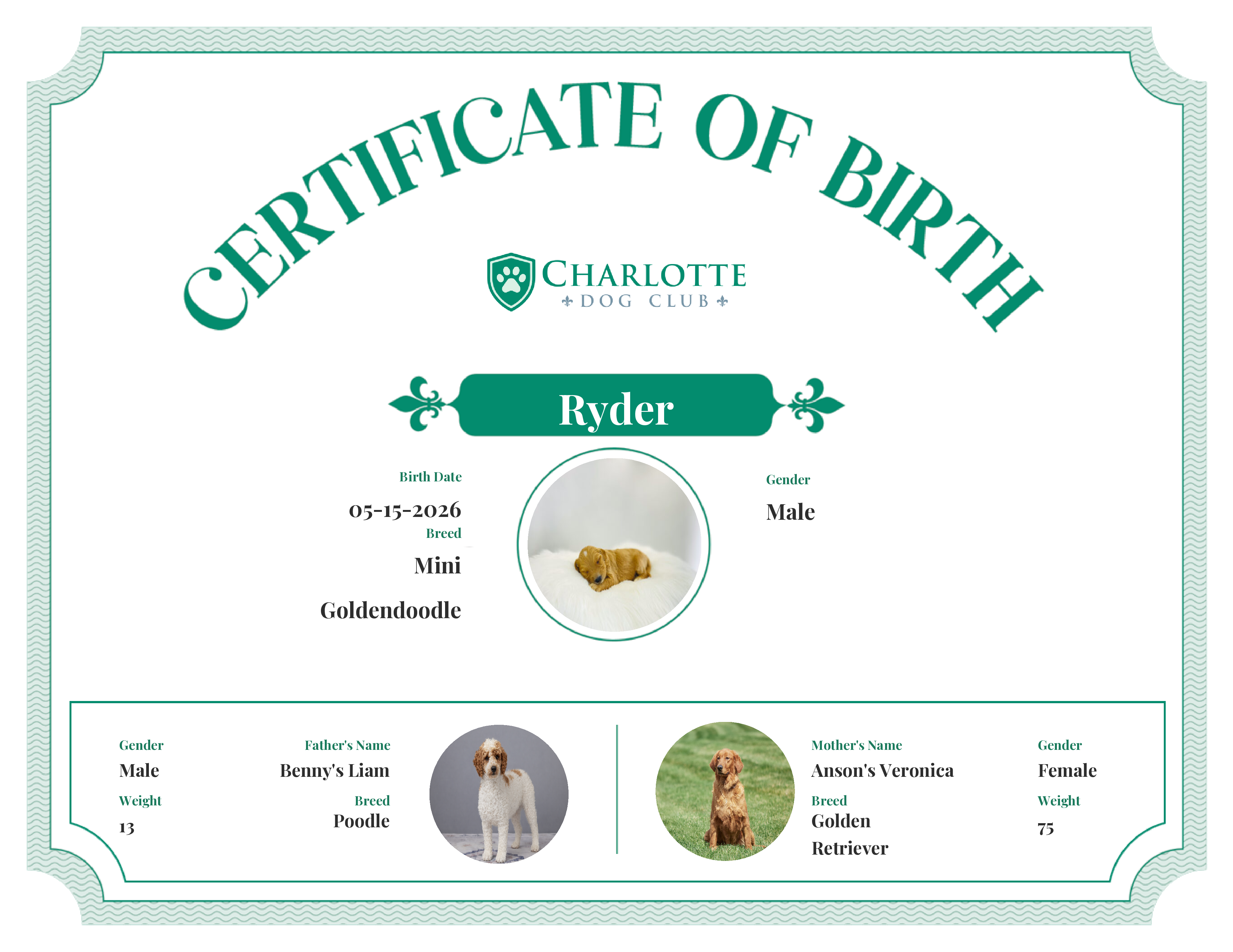 Ryder's Birth Certificate