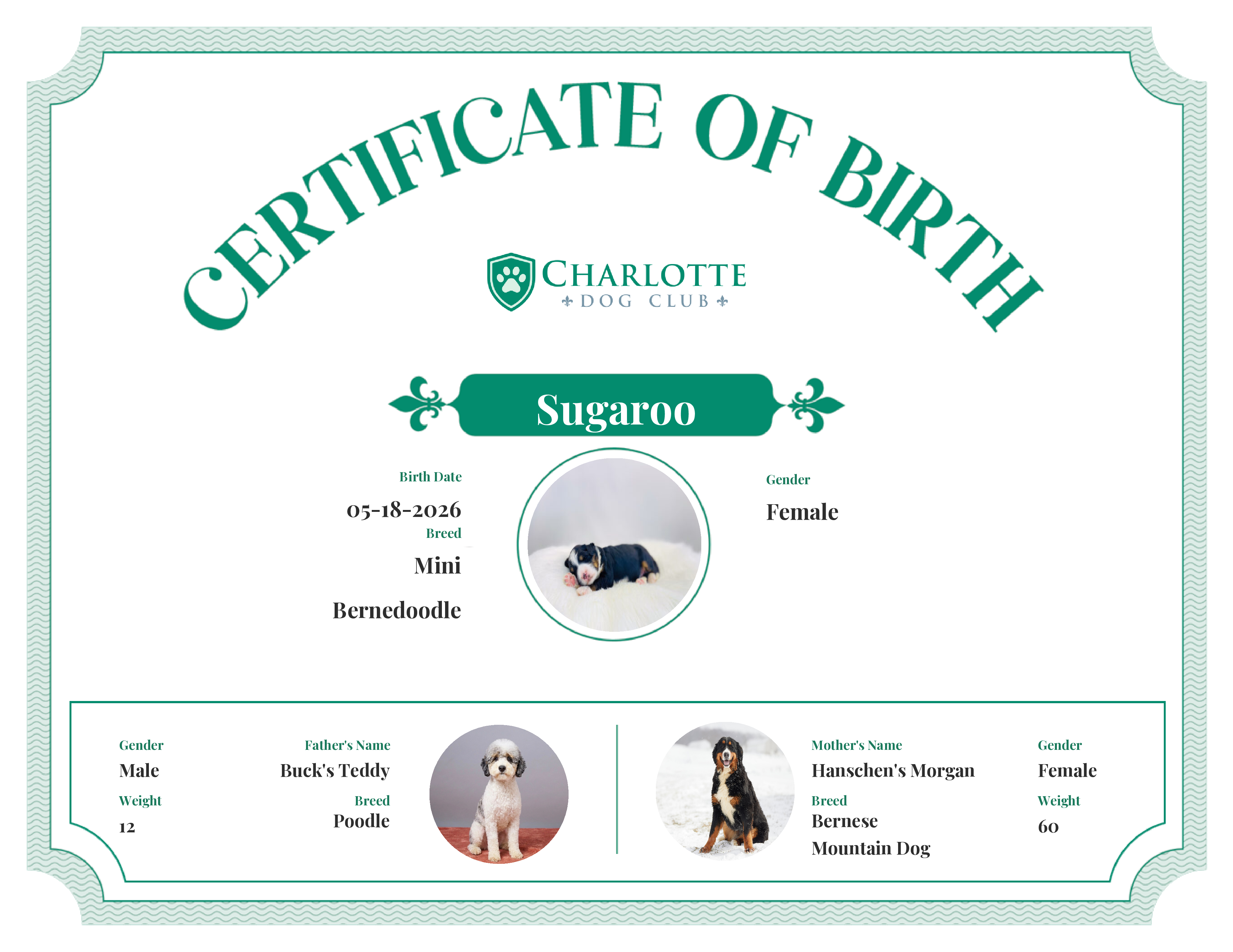 Sugaroo's Birth Certificate