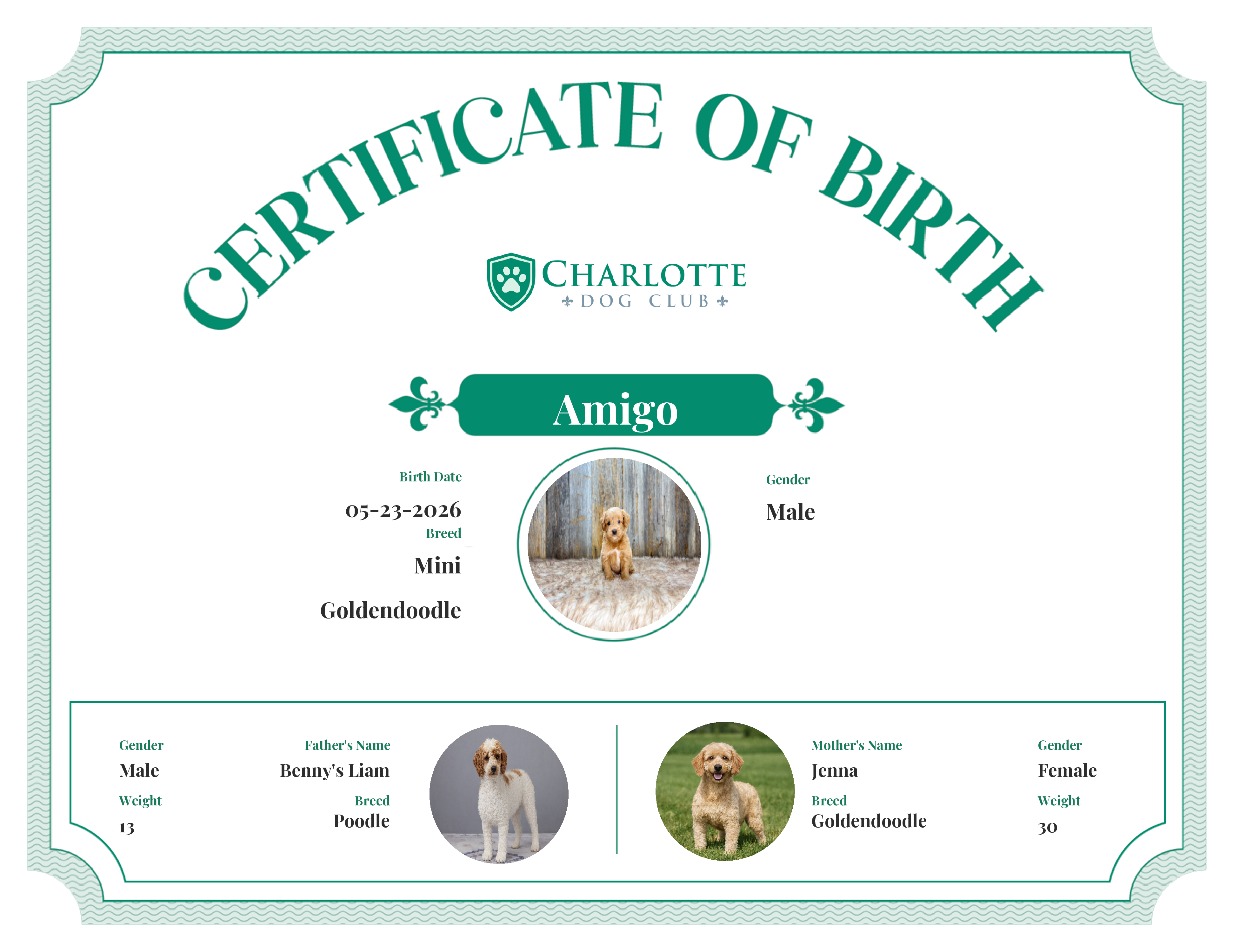 Amigo's Birth Certificate