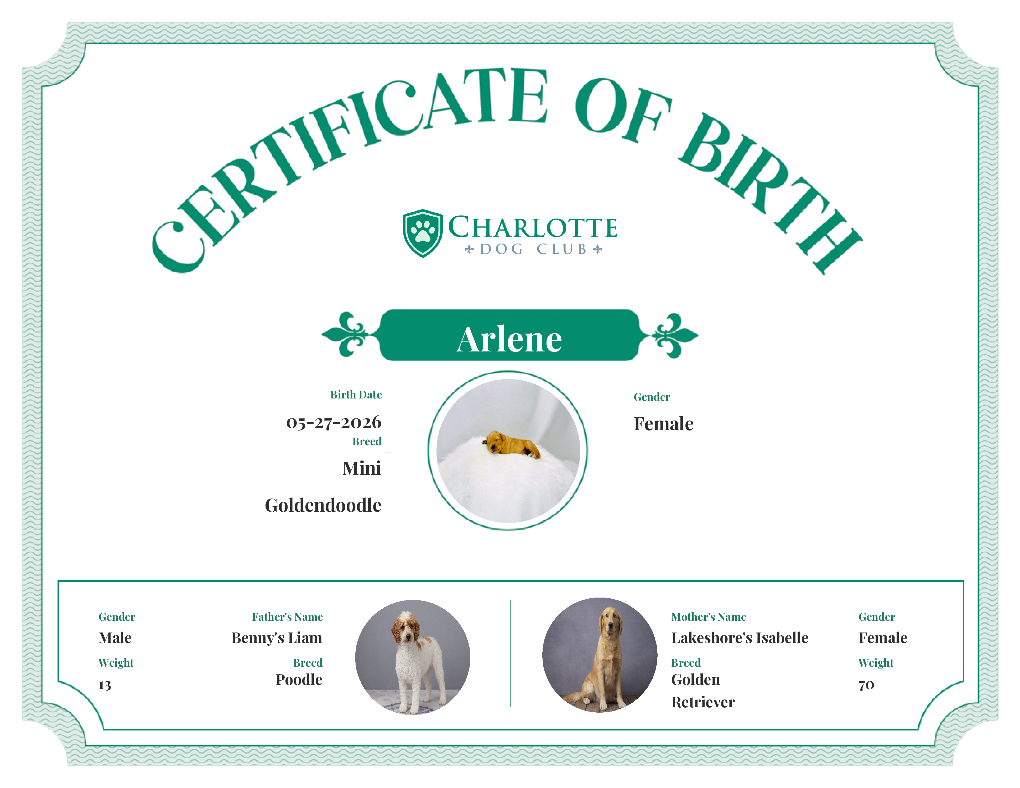 Arlene's Birth Certificate
