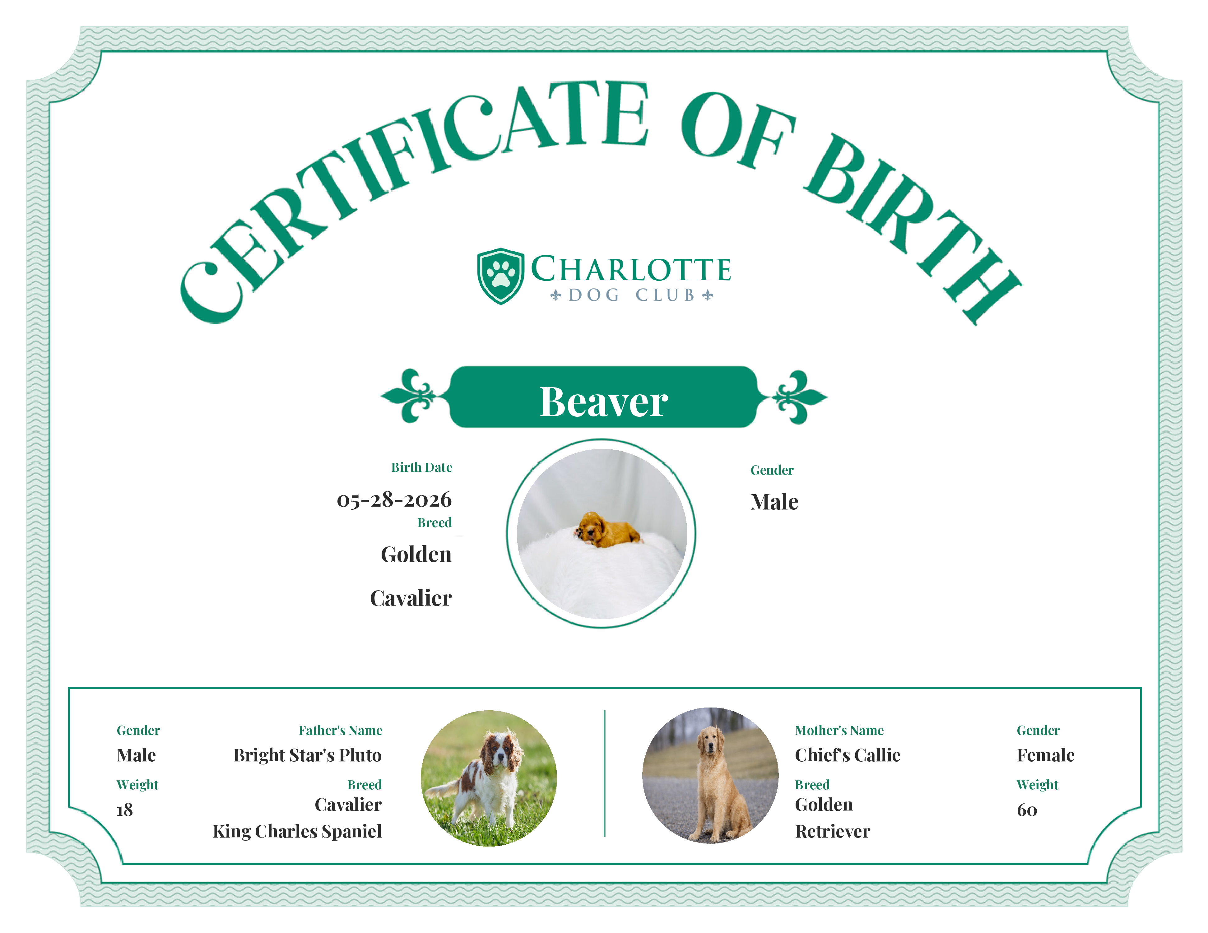 Beaver's Birth Certificate