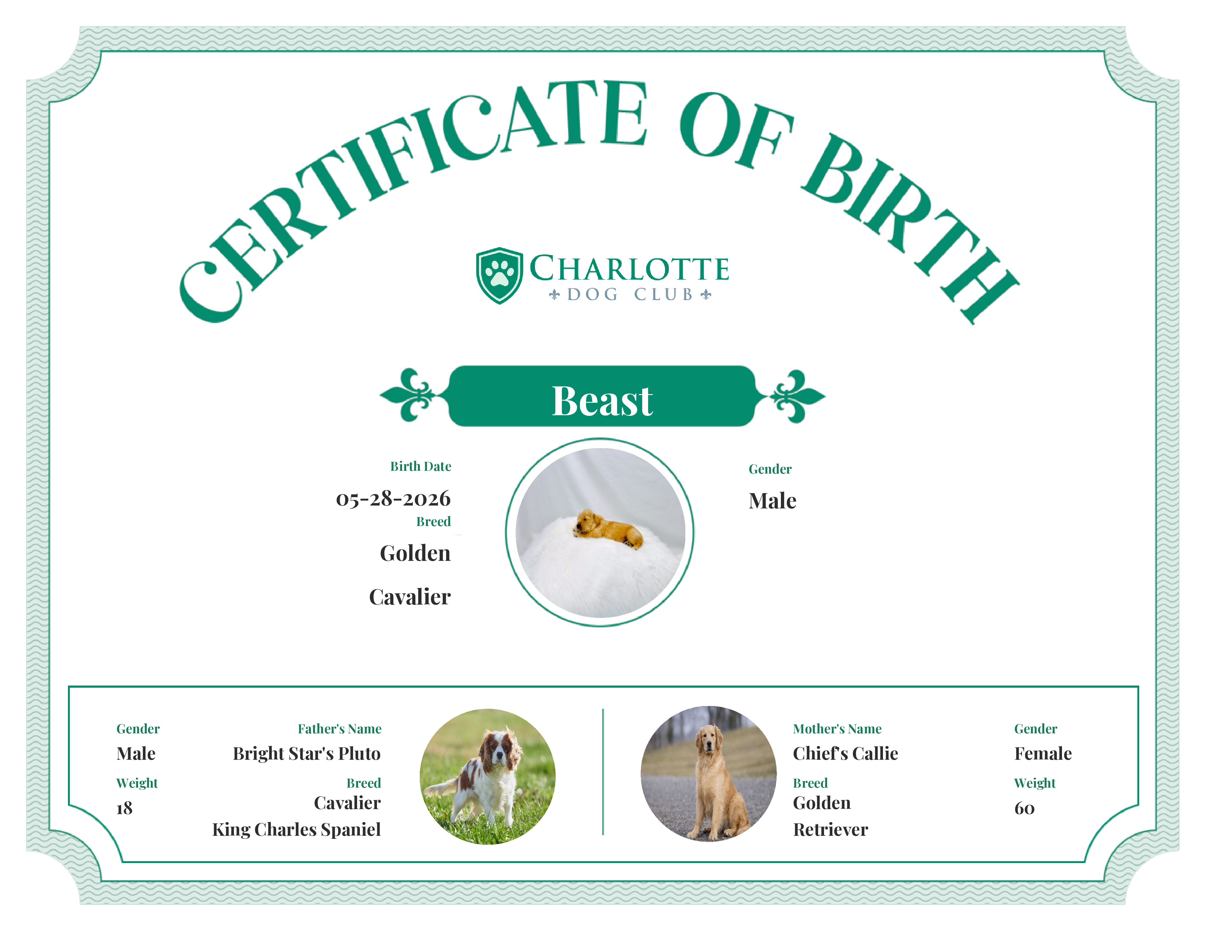 Beast's Birth Certificate