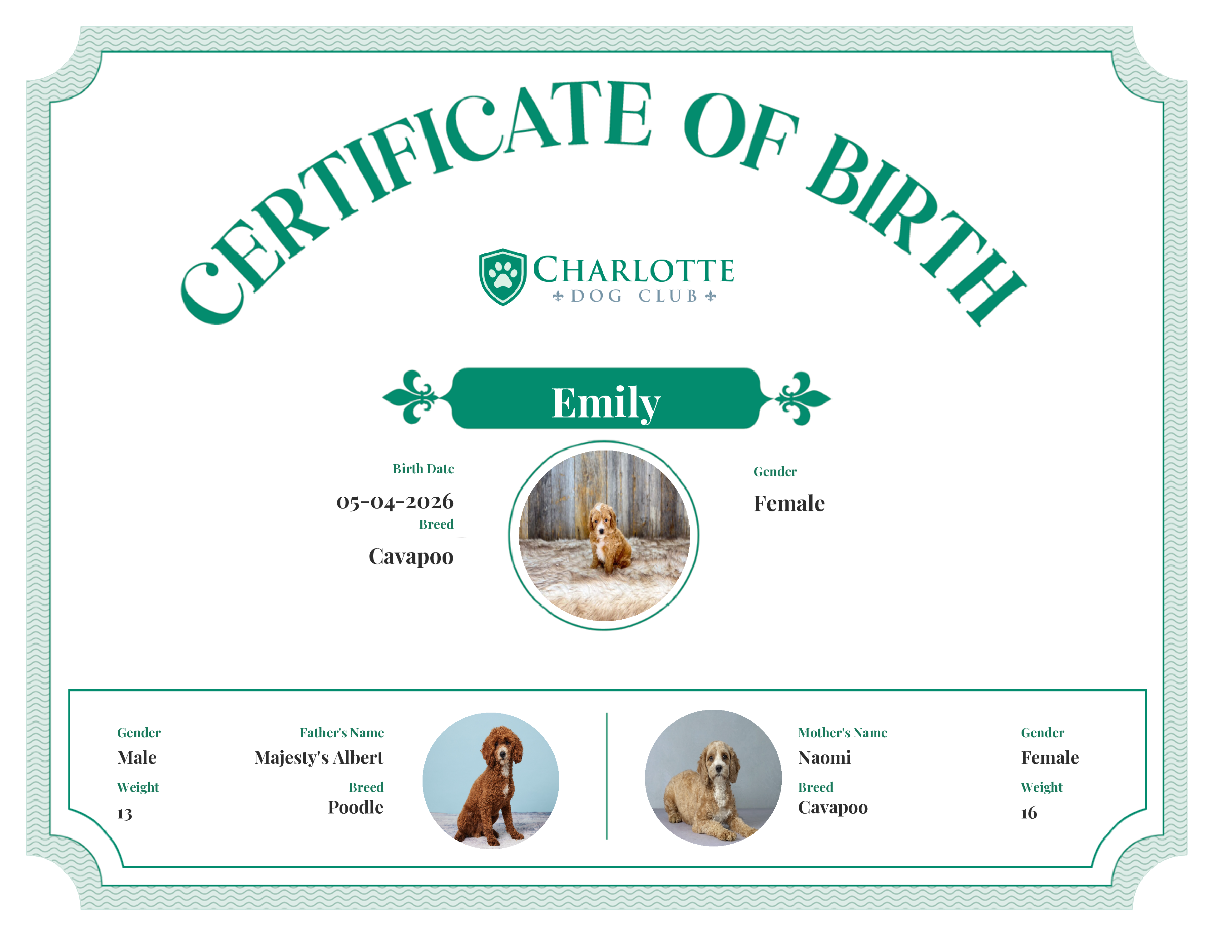 Emily's Birth Certificate