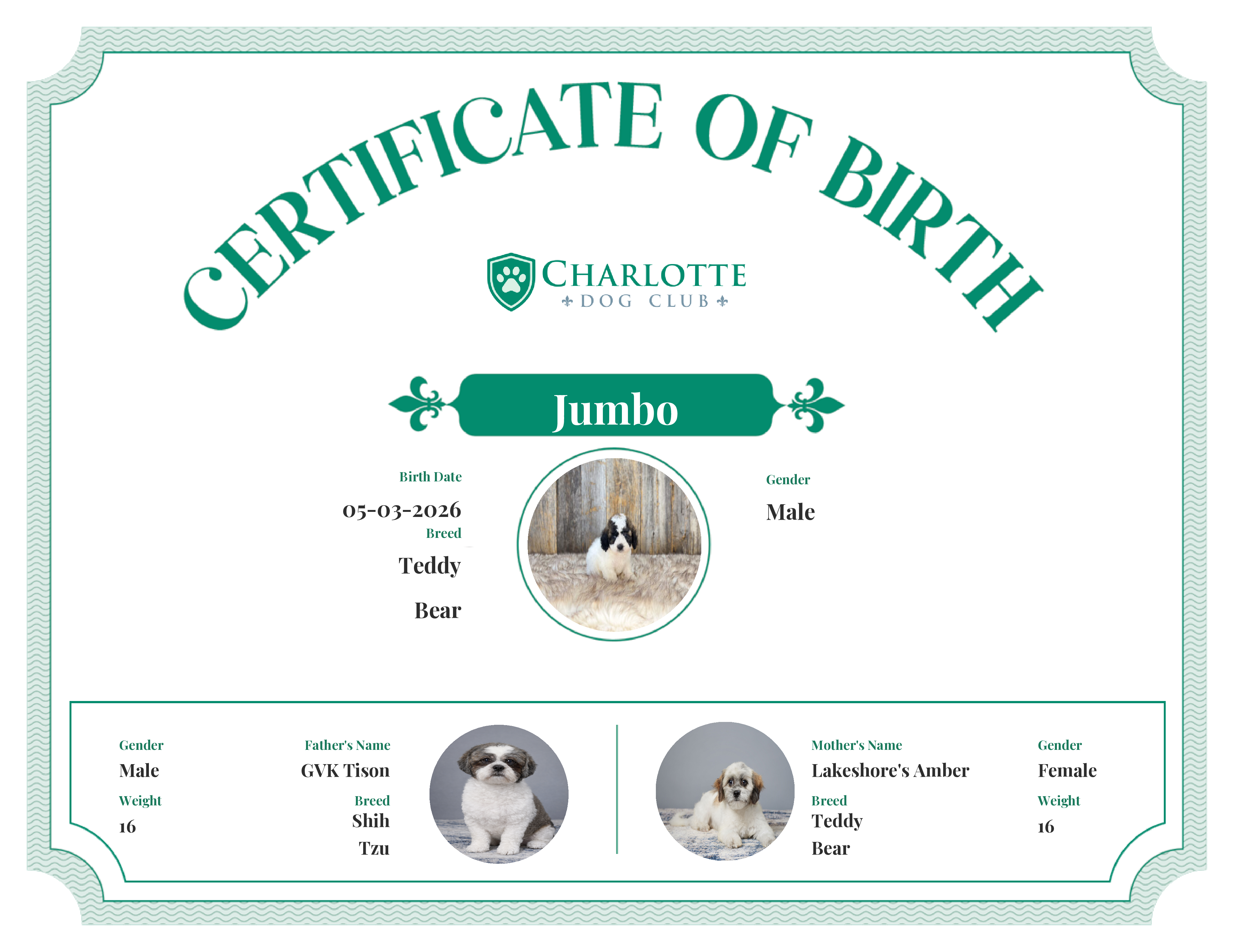 Jumbo's Birth Certificate