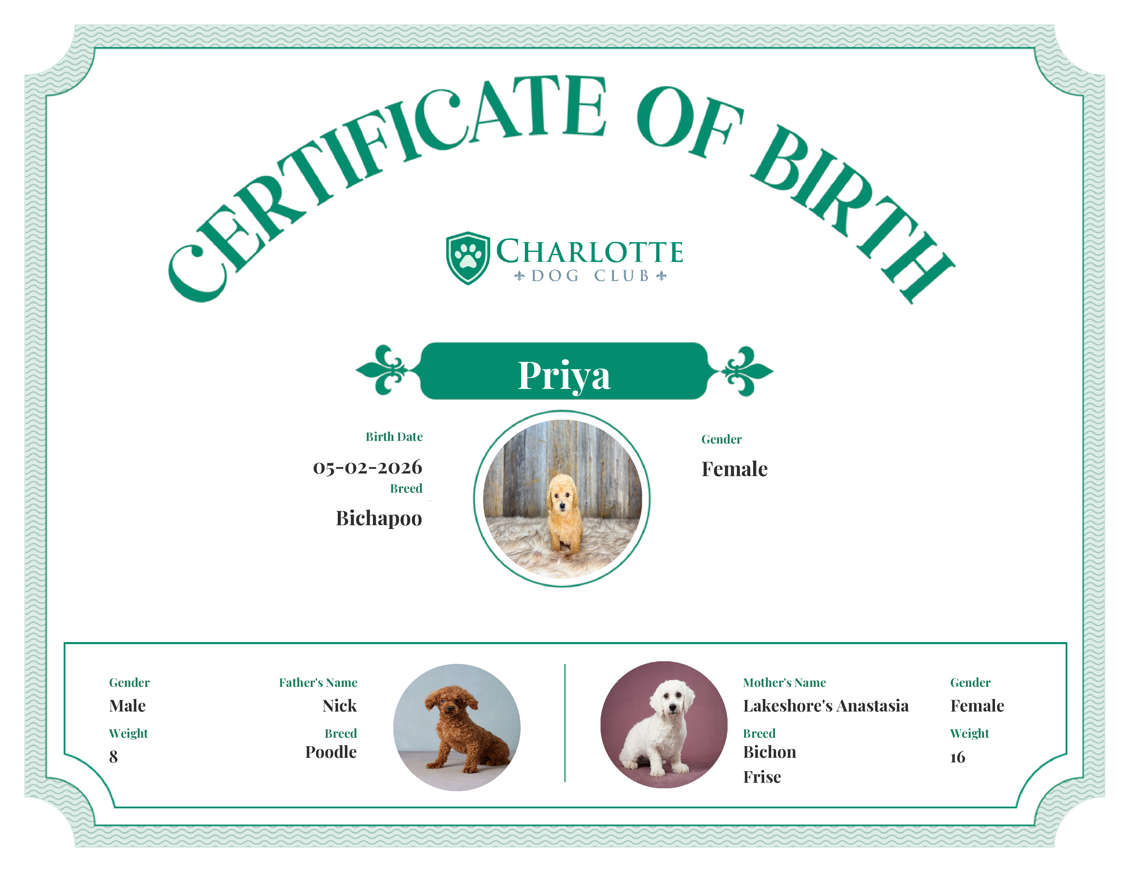 Priya's Birth Certificate