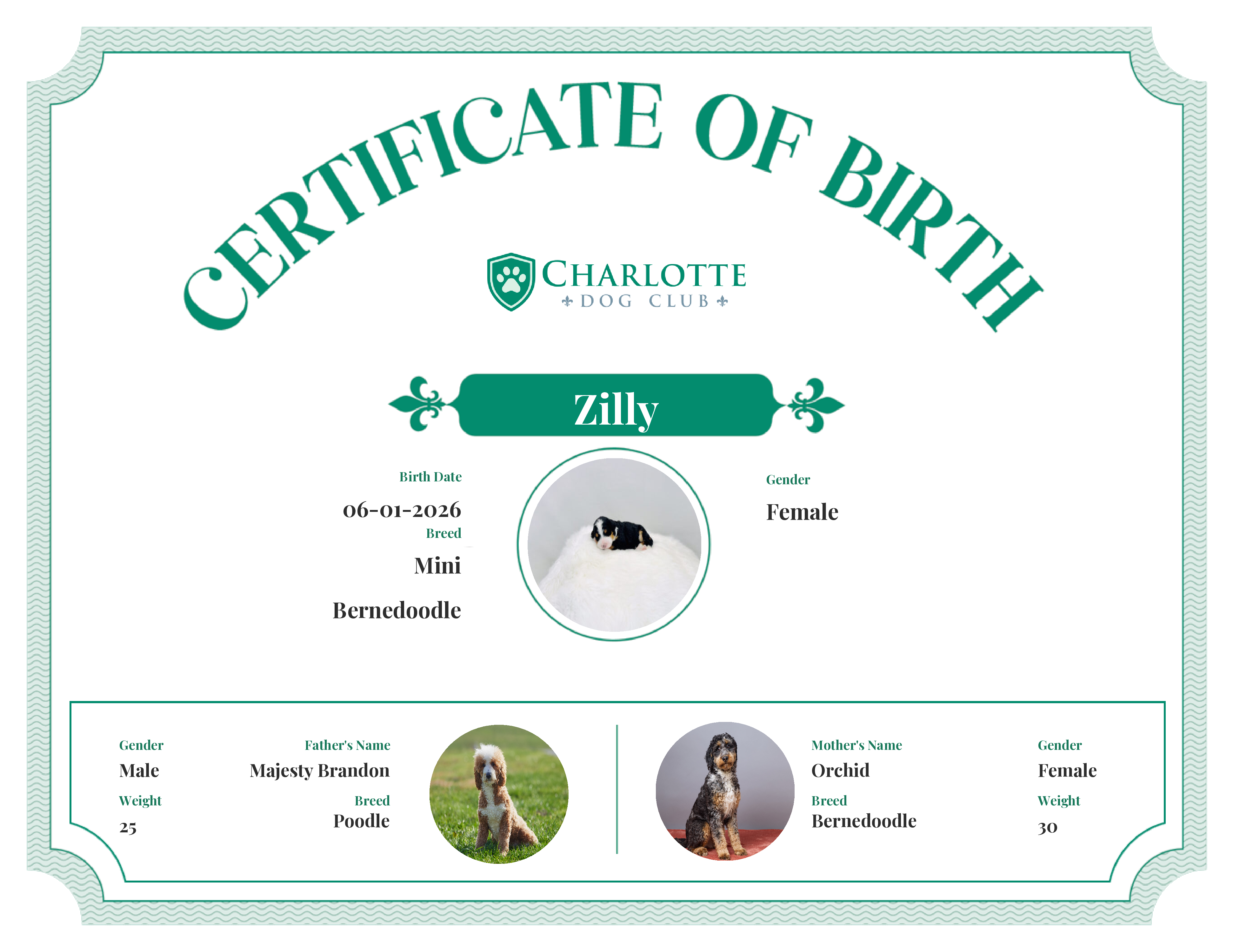 Zilly's Birth Certificate
