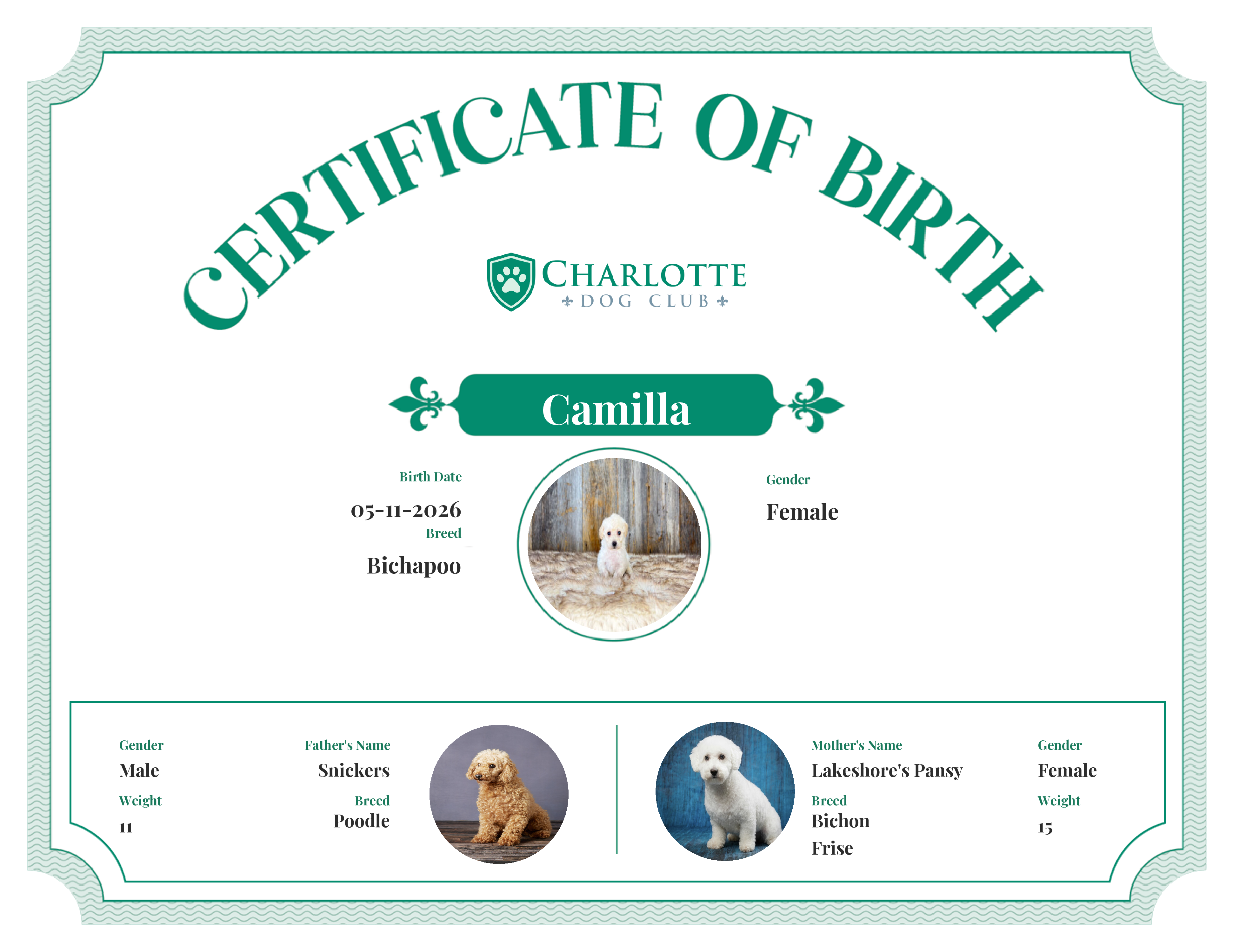 Camilla's Birth Certificate