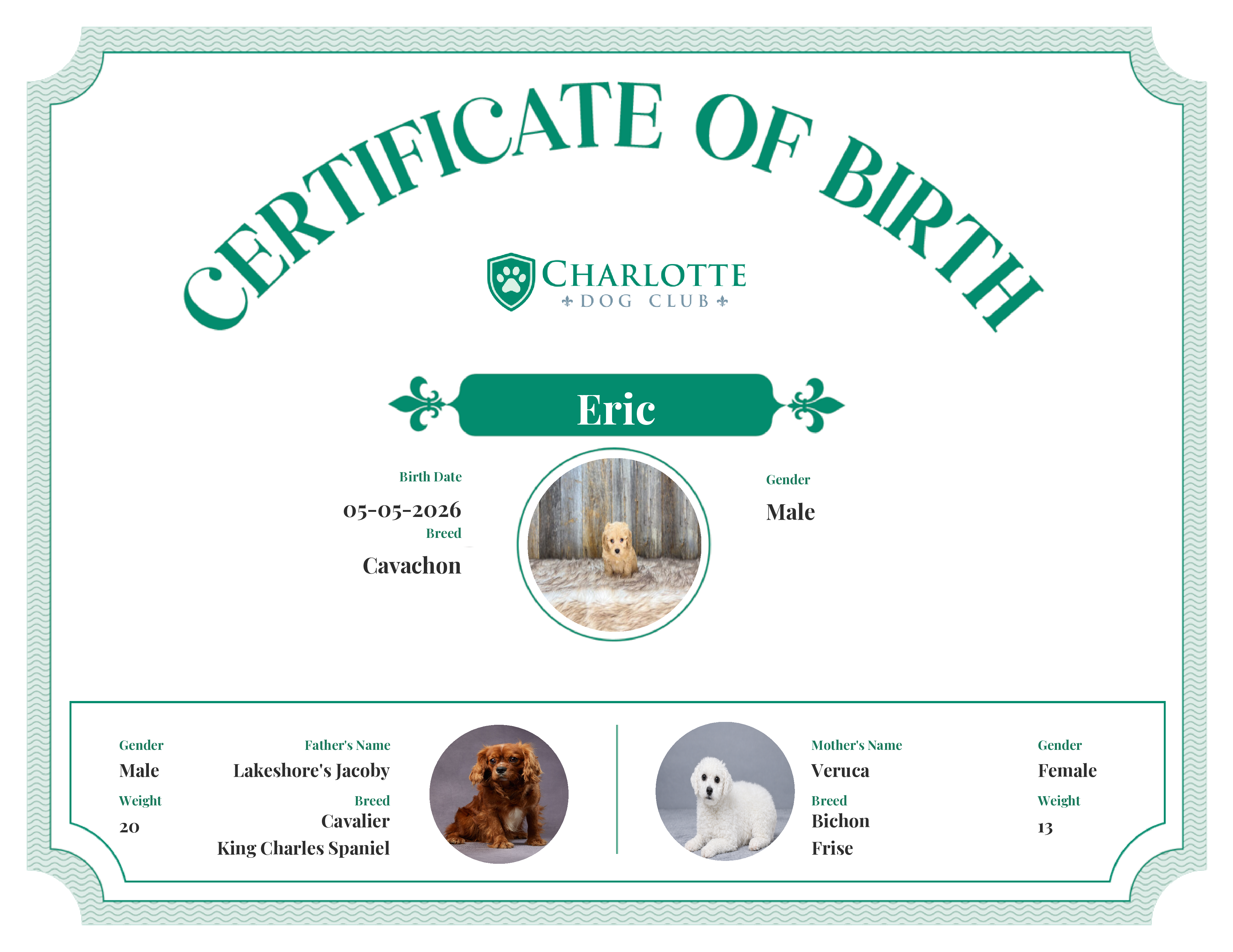 Eric's Birth Certificate