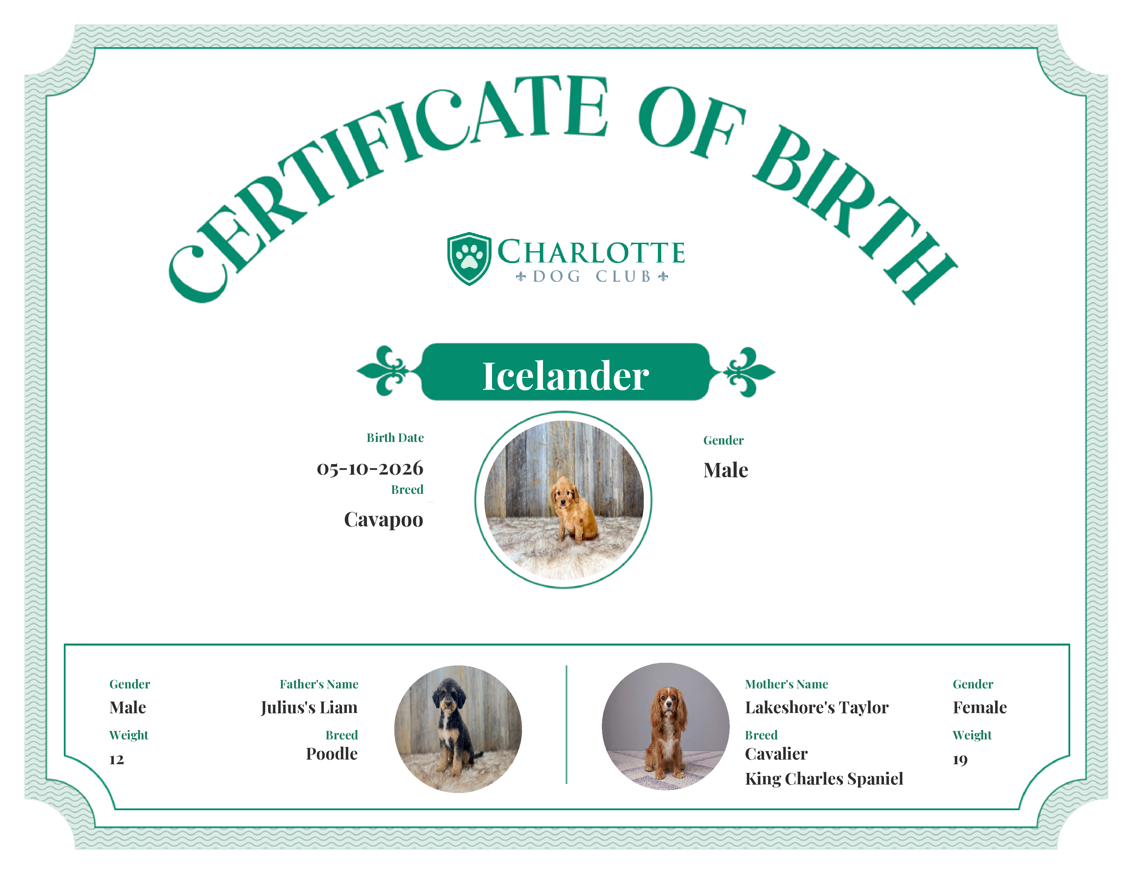 Icelander's Birth Certificate