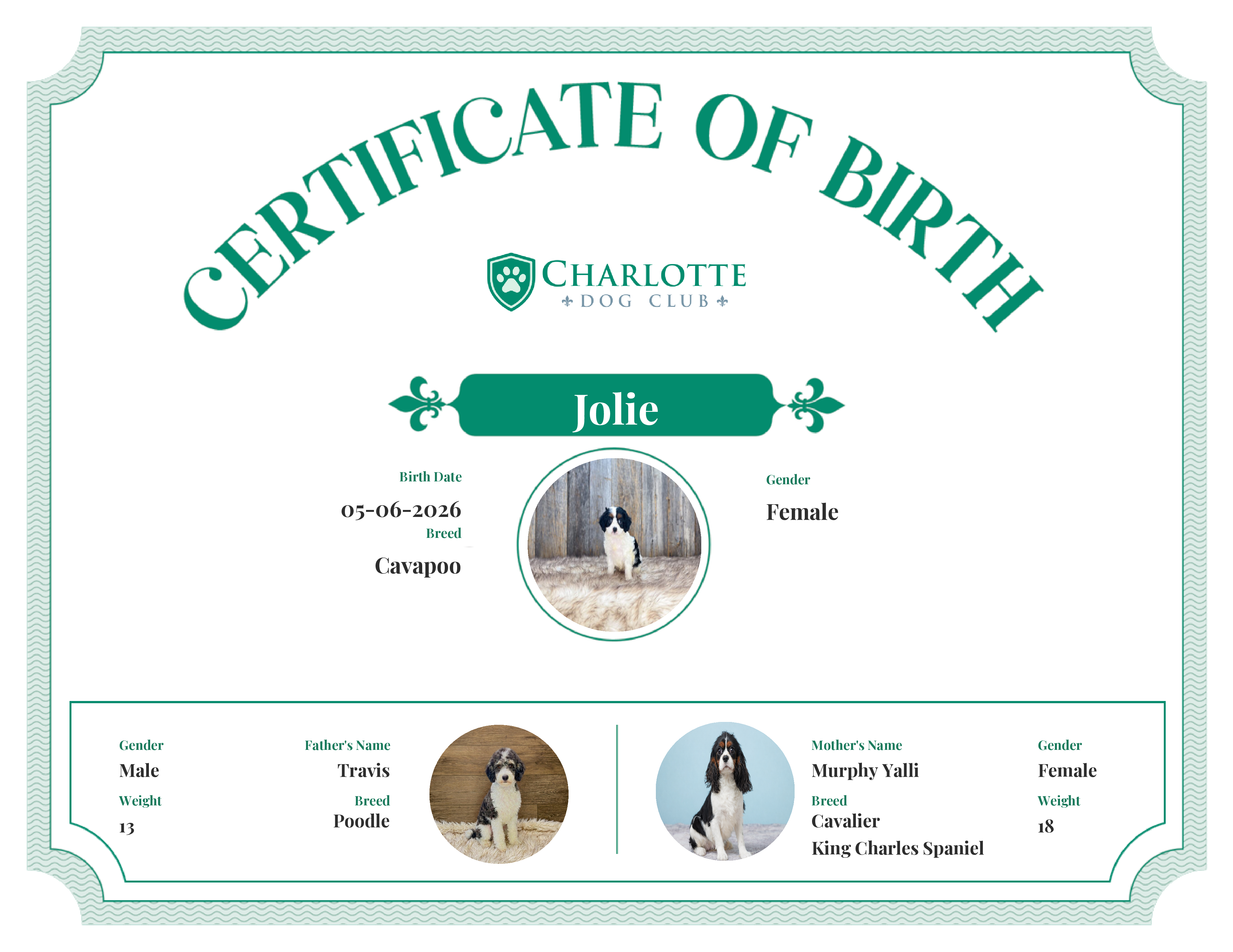 Jolie's Birth Certificate