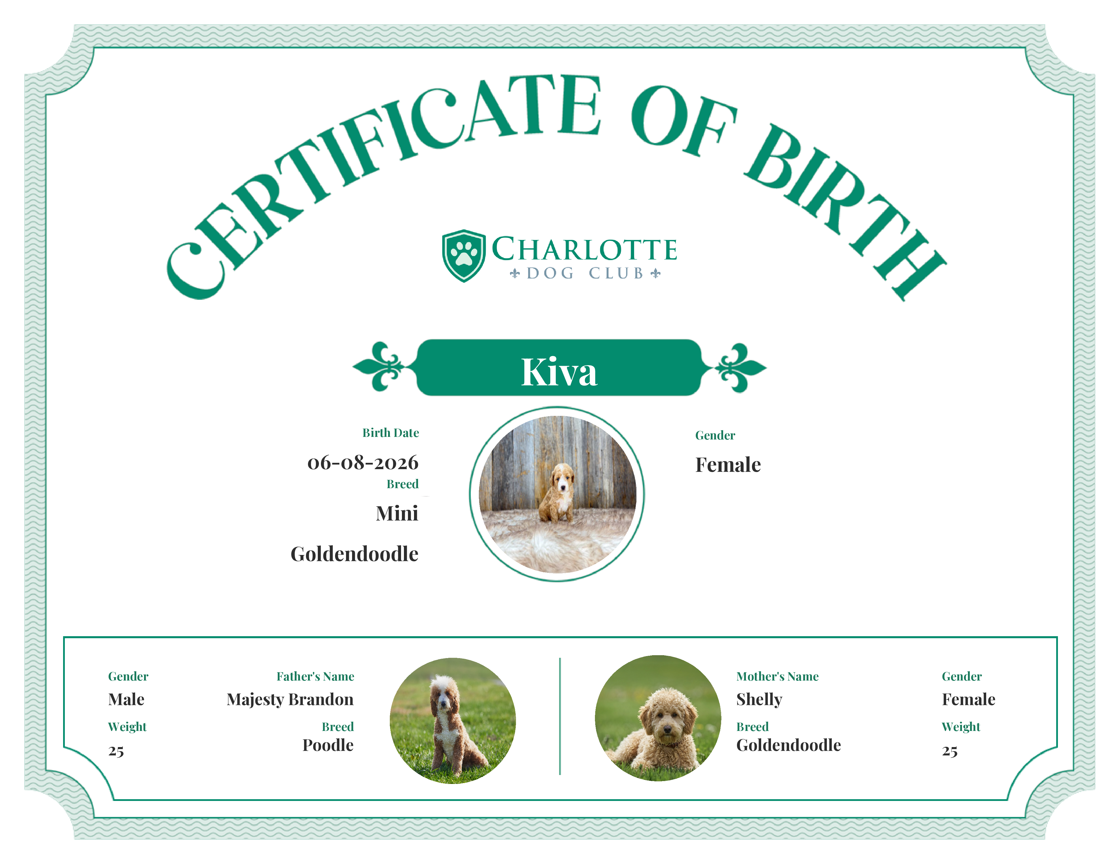 Kiva's Birth Certificate