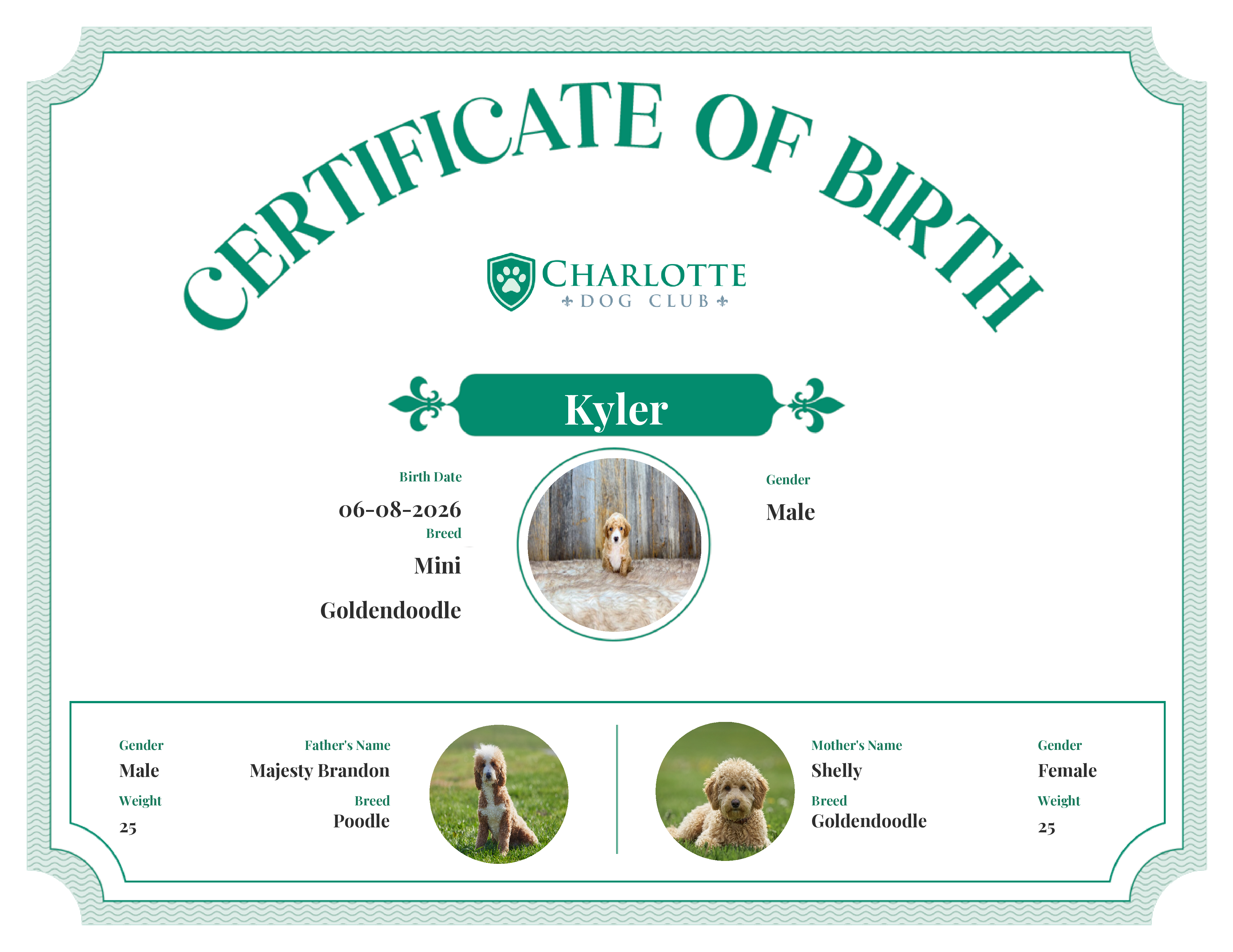 Kyler's Birth Certificate