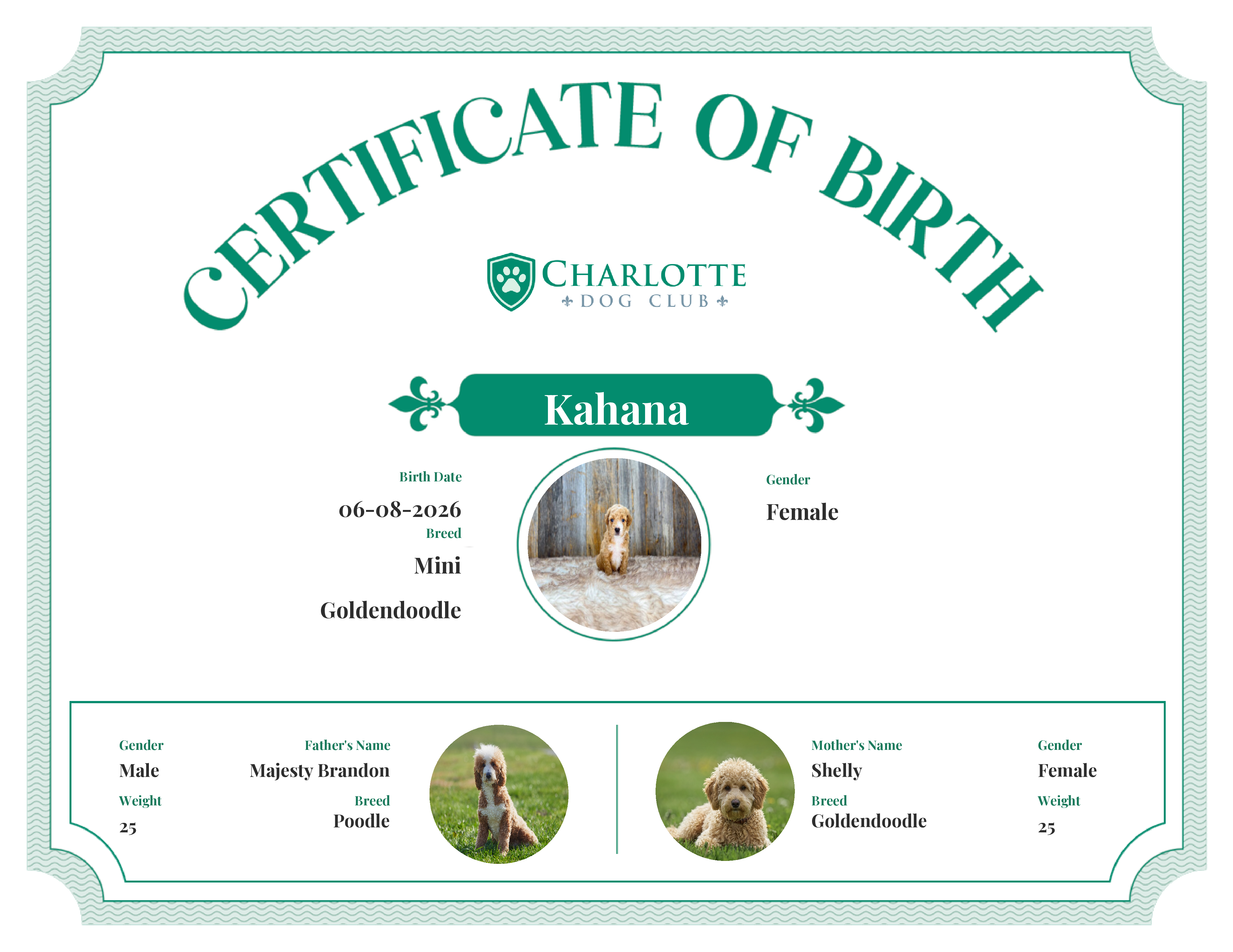 Kahana's Birth Certificate