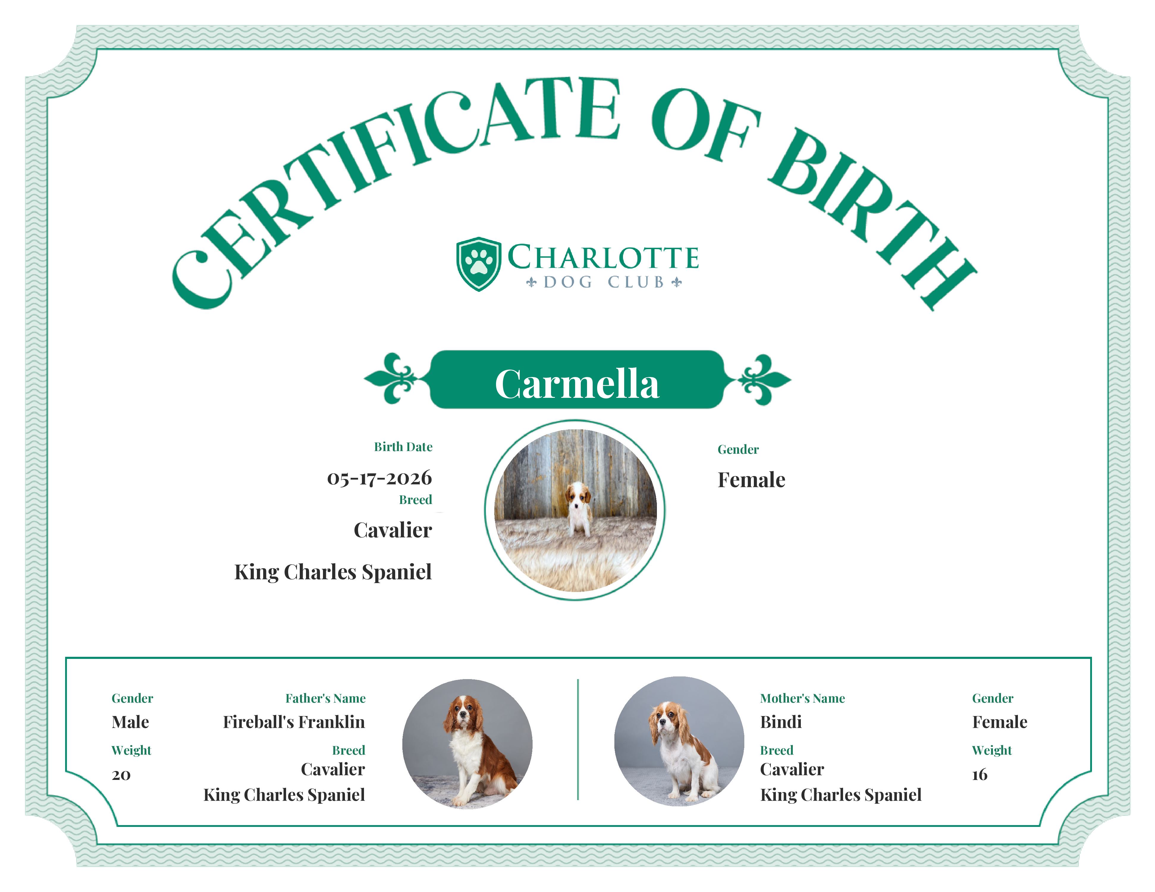 Carmella's Birth Certificate