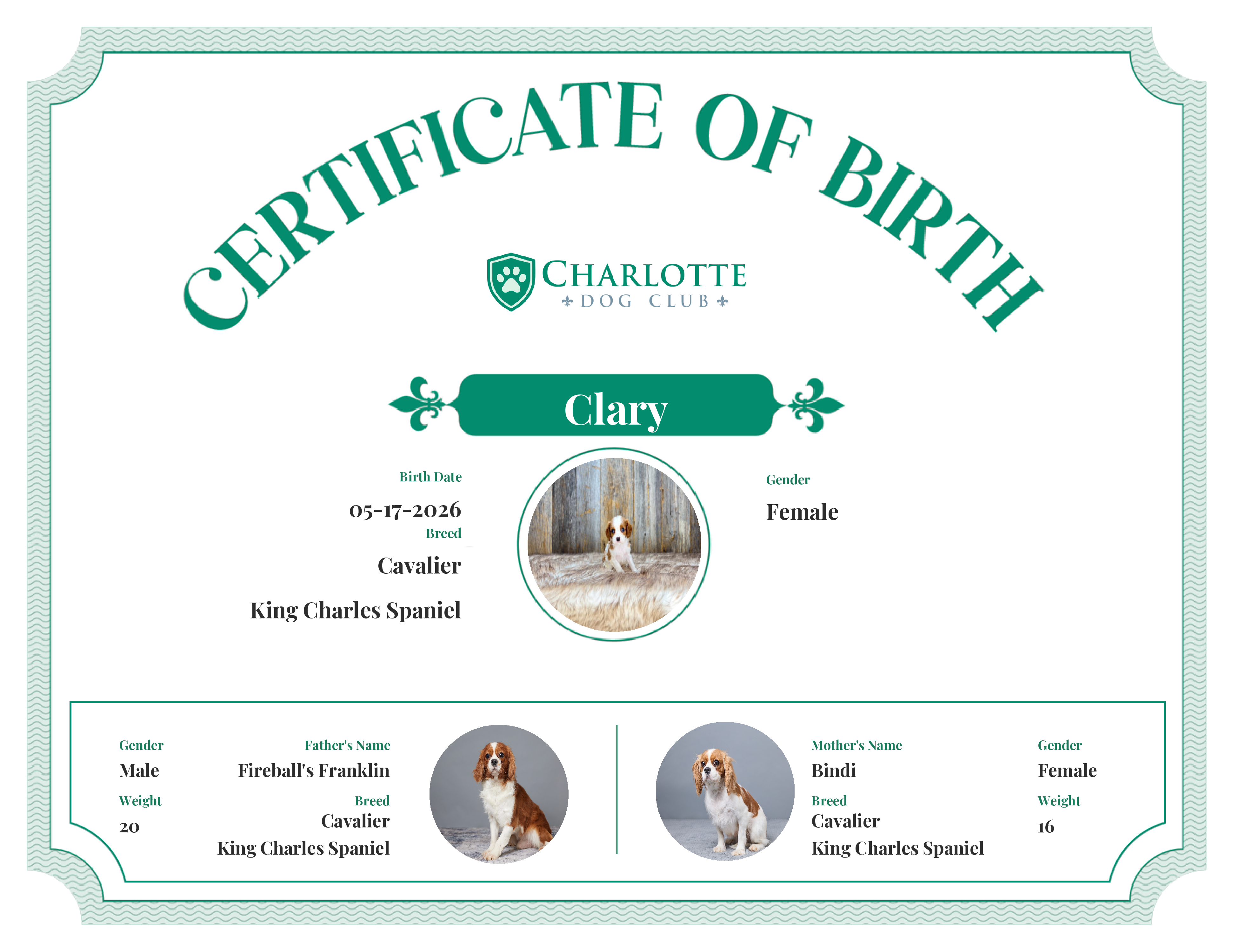 Clary's Birth Certificate