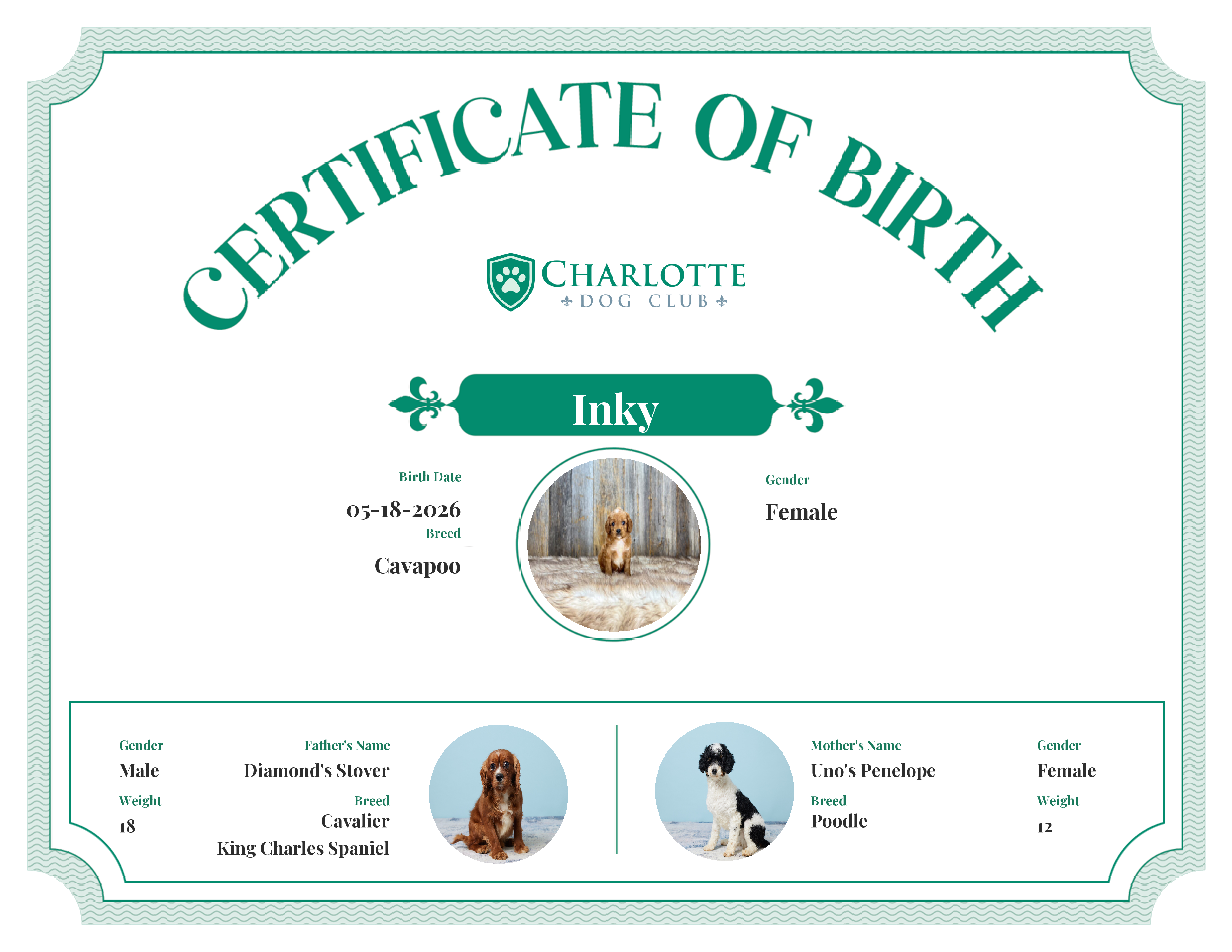 Inky's Birth Certificate
