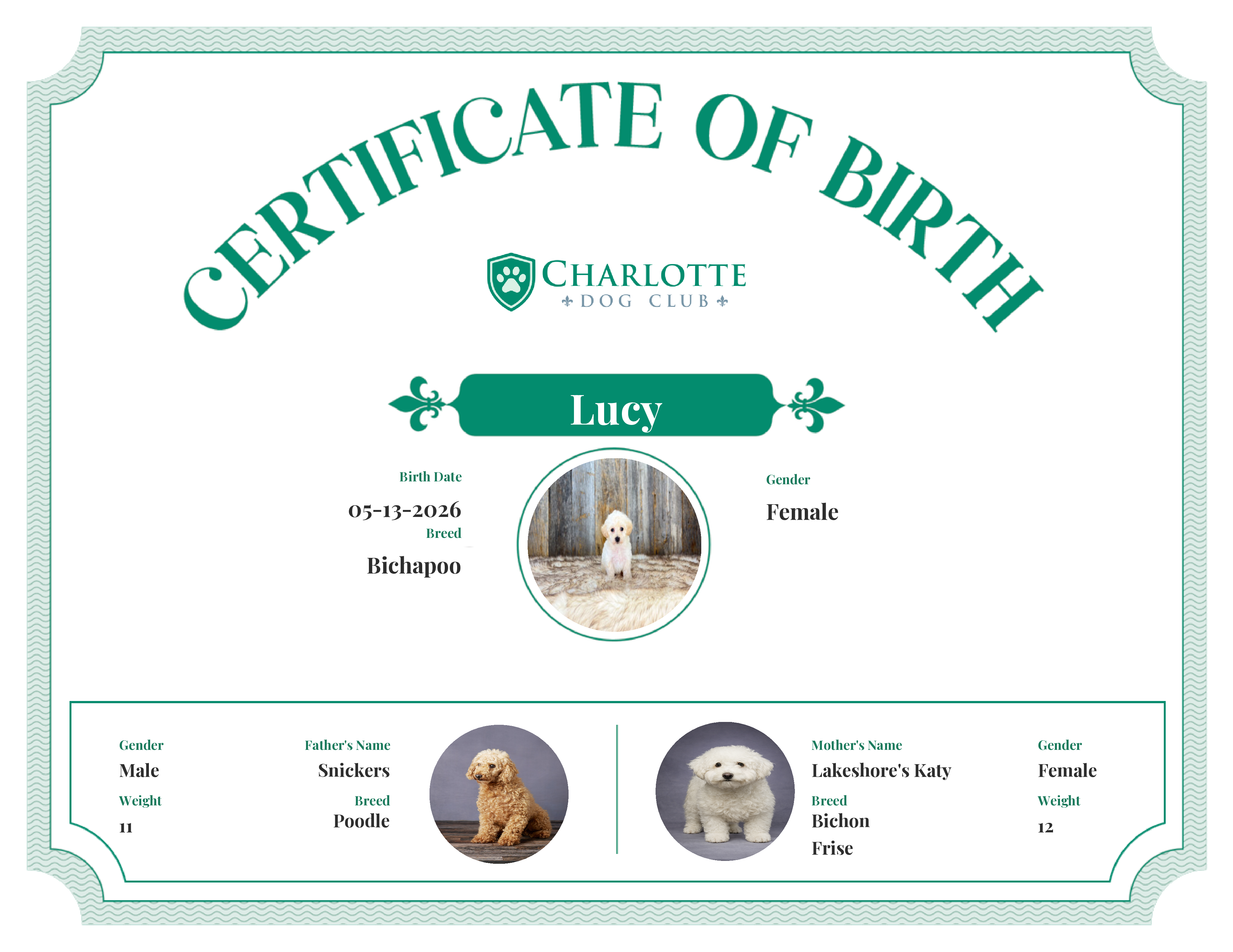 Lucy's Birth Certificate