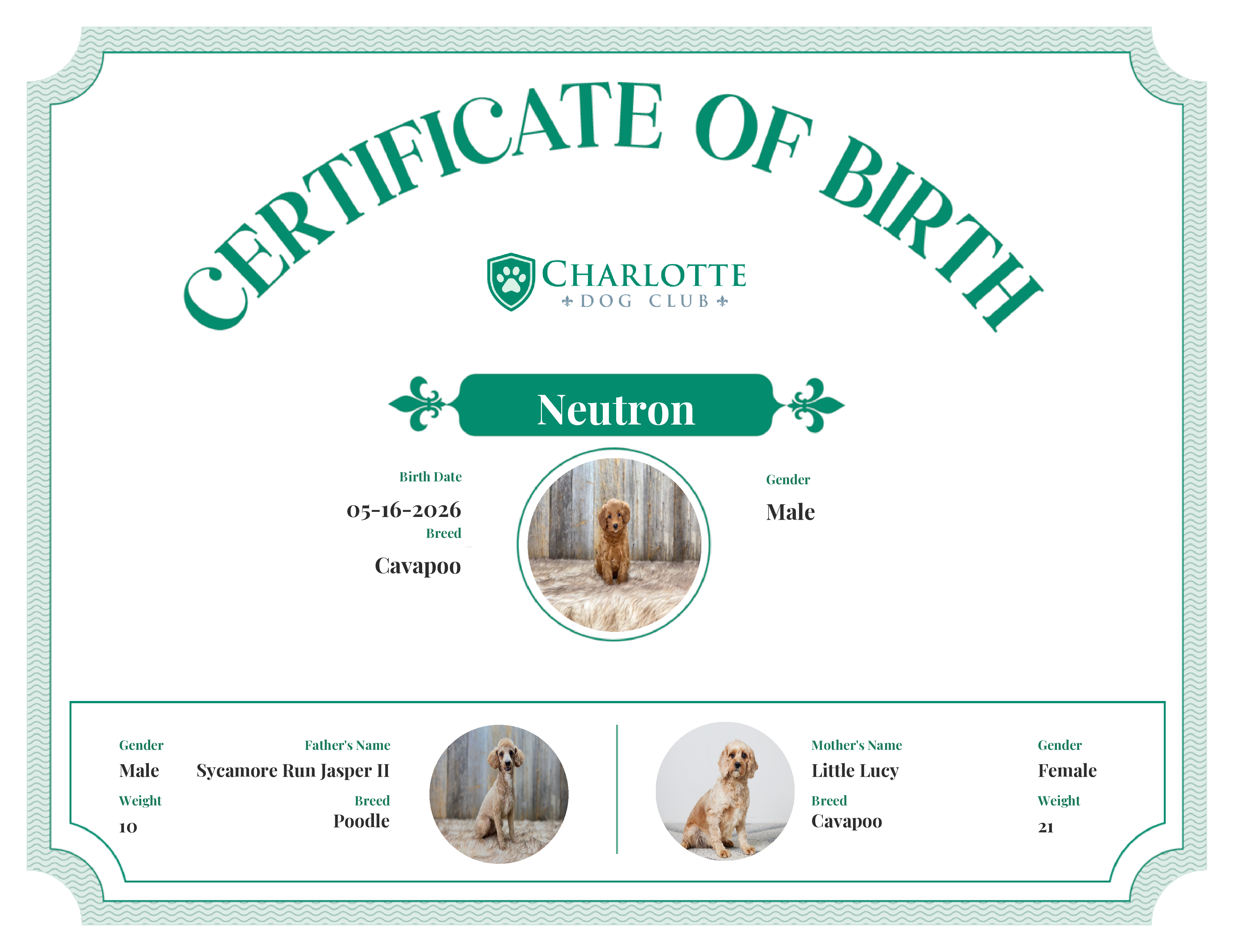 Neutron's Birth Certificate