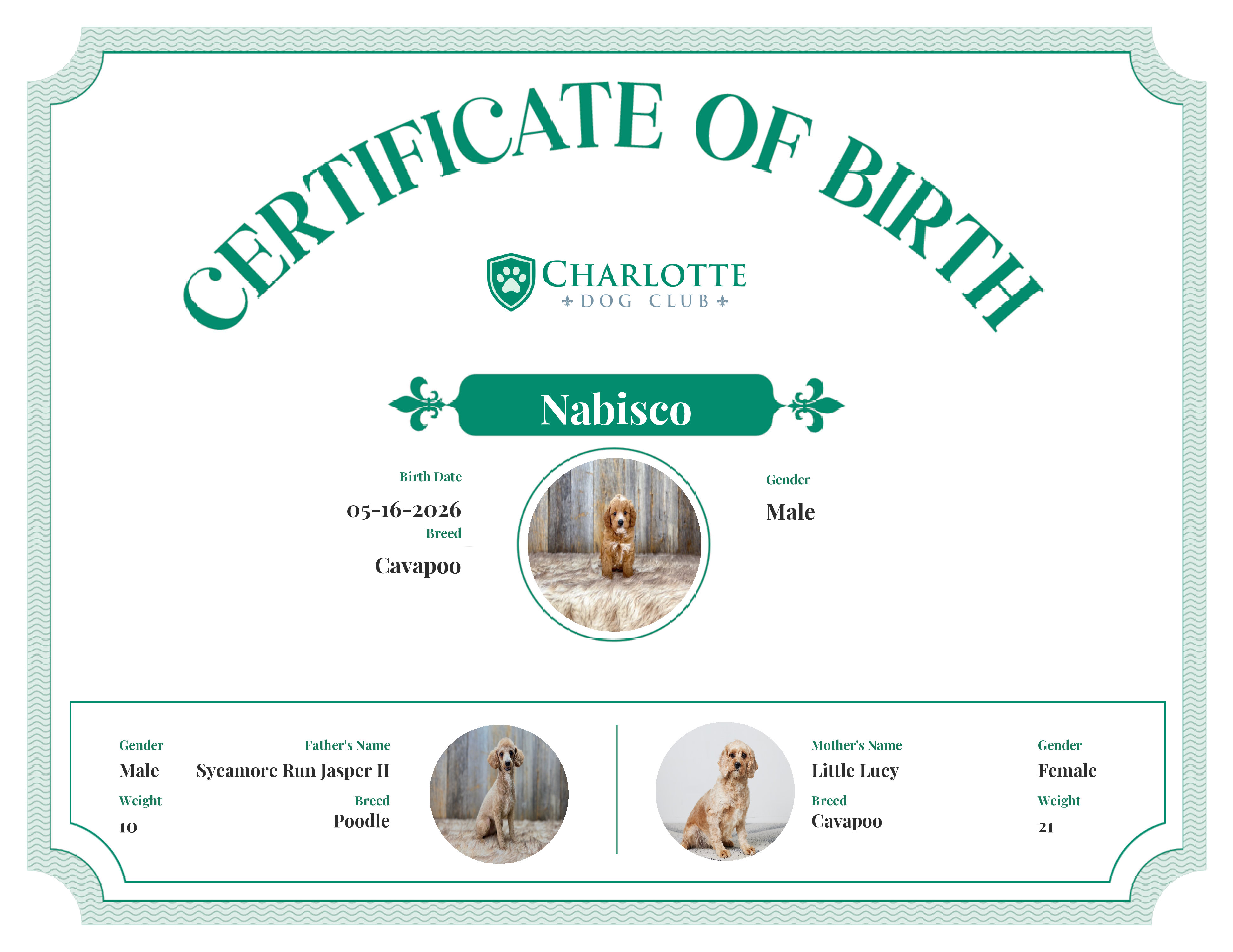 Nabisco's Birth Certificate