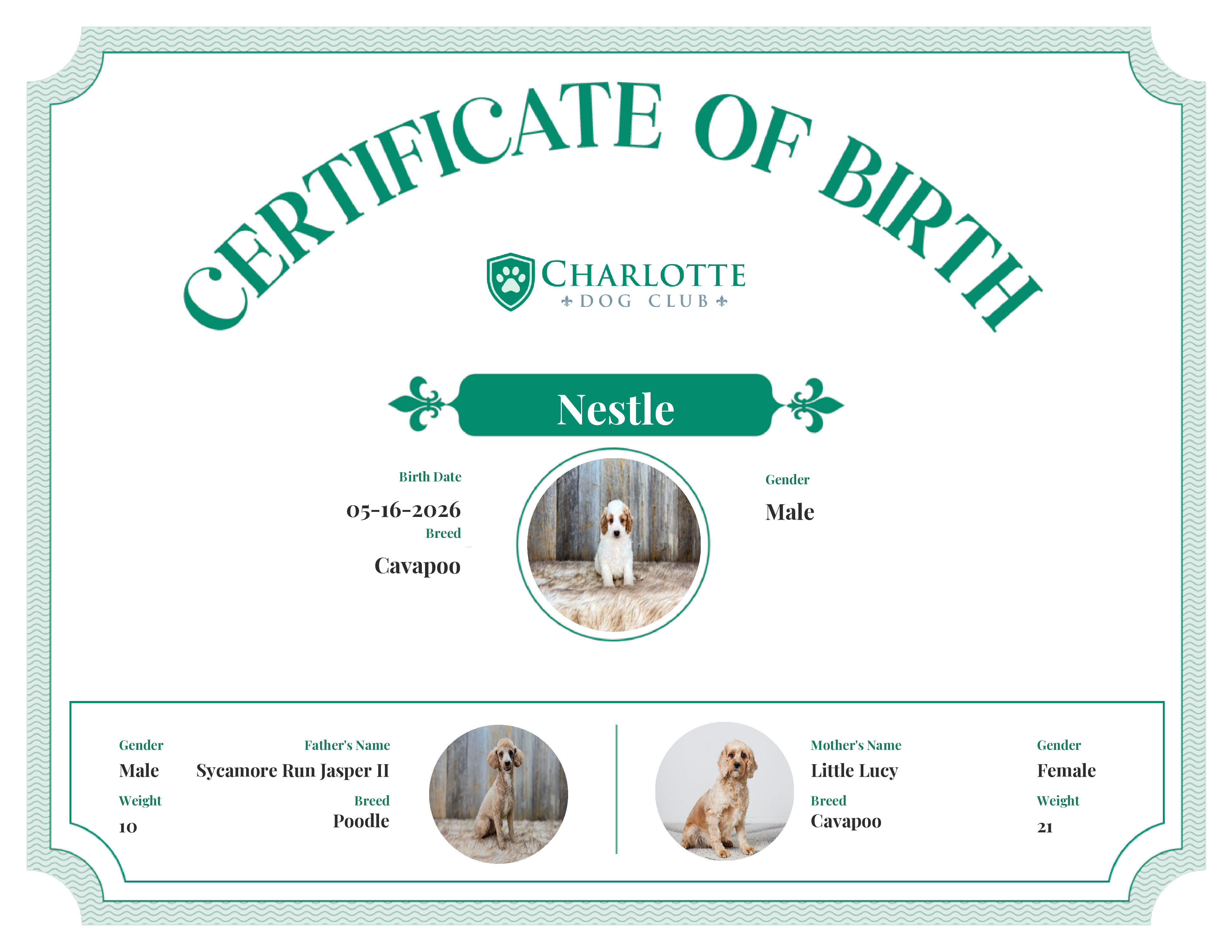 Nestle's Birth Certificate