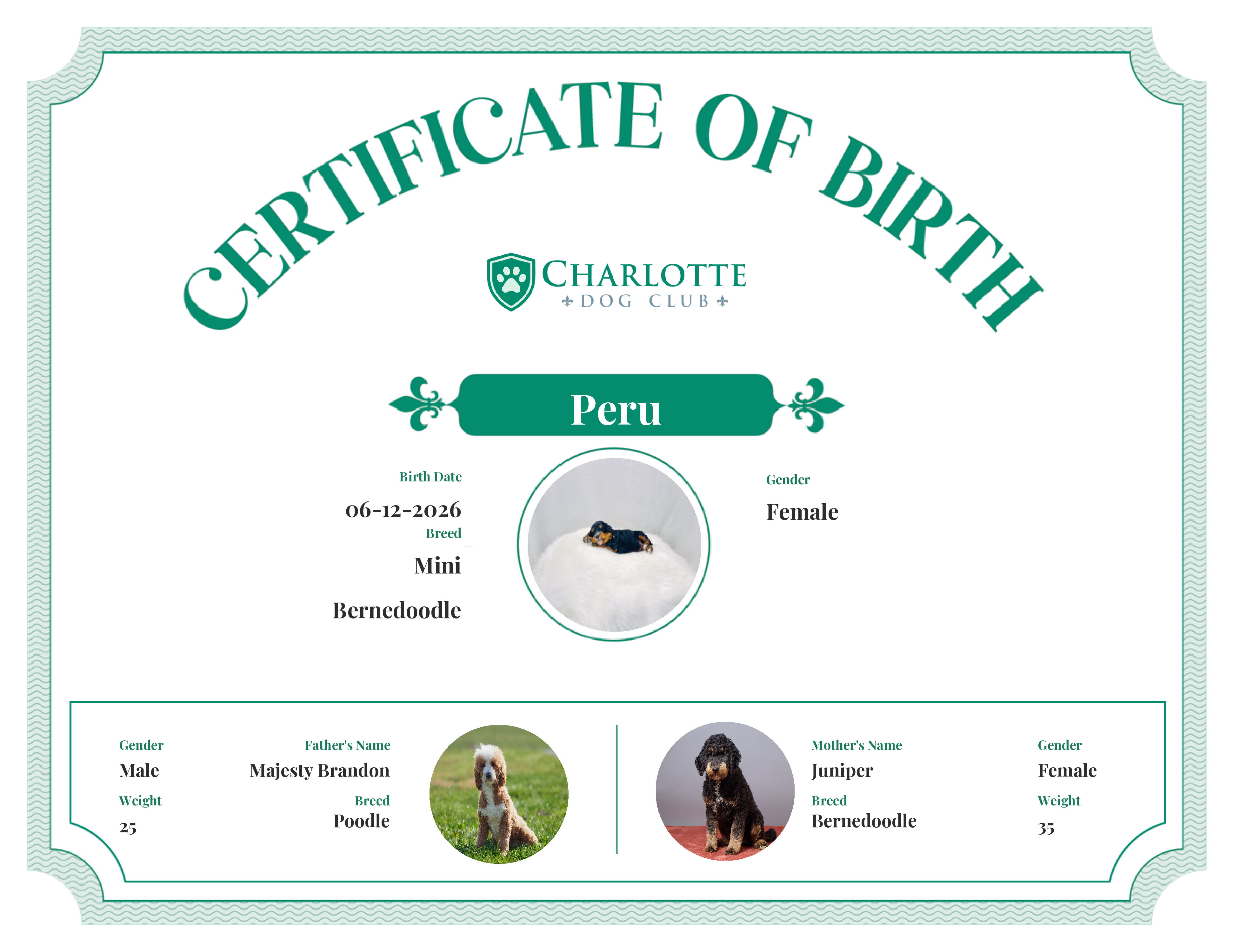 Peru's Birth Certificate