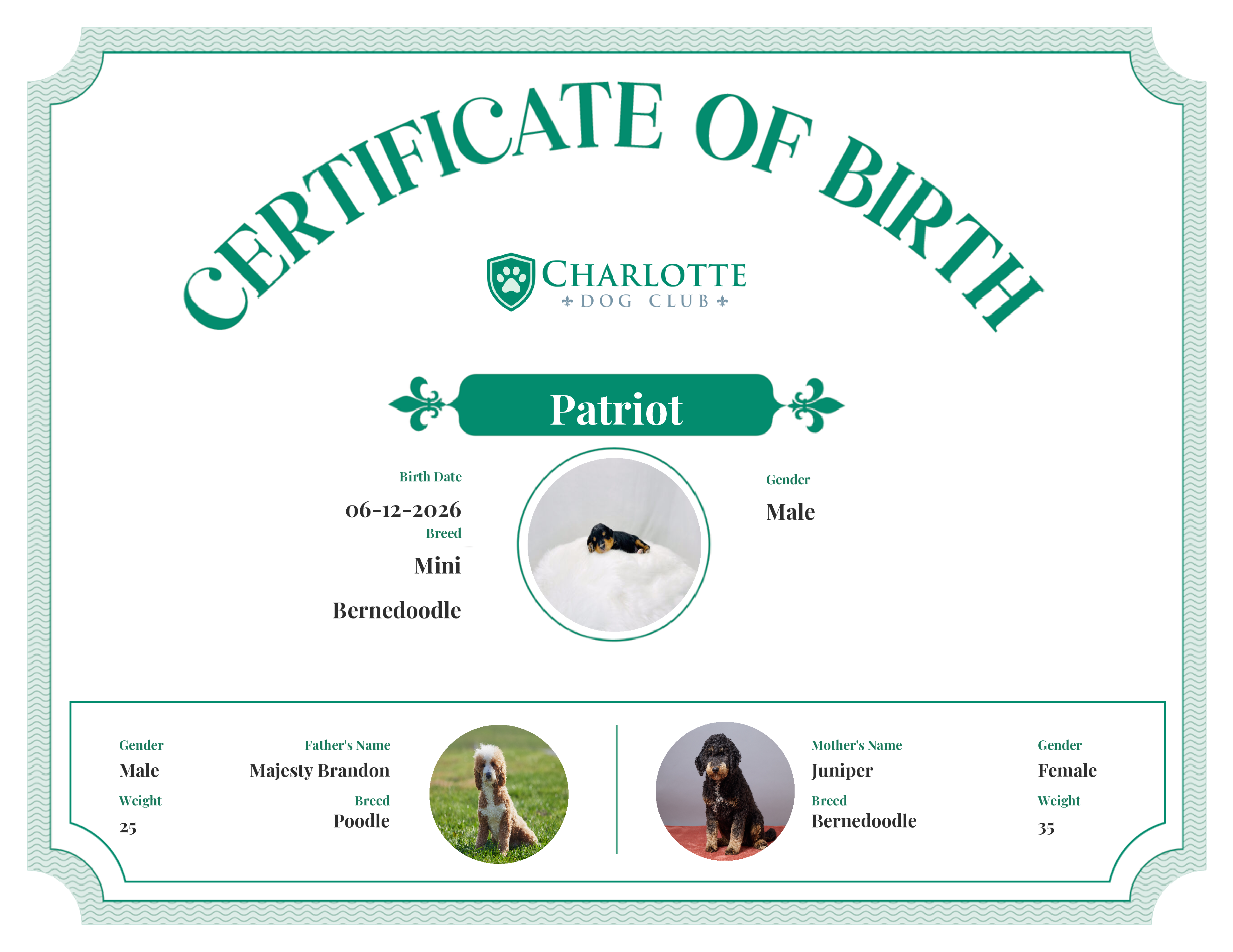 Patriot's Birth Certificate