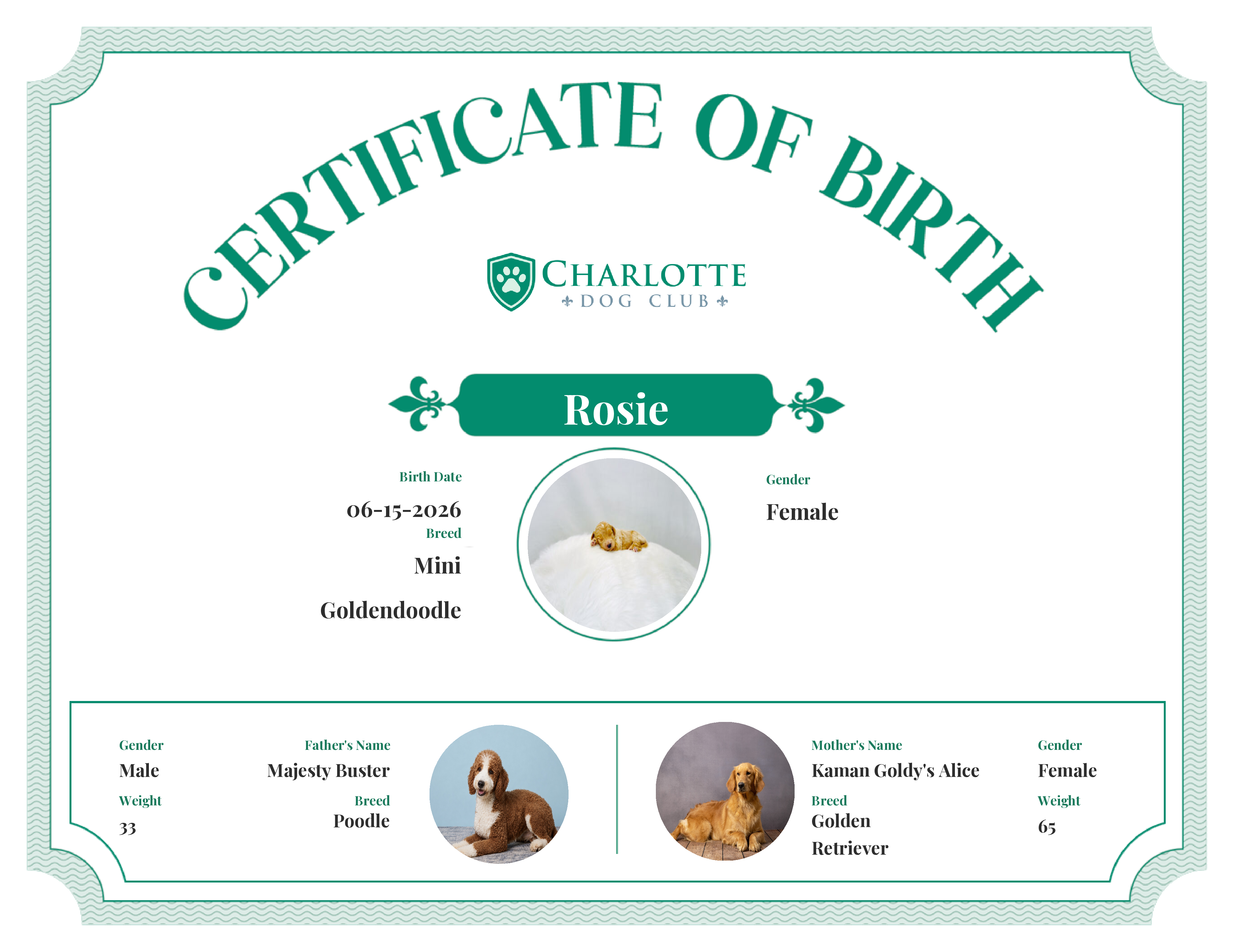 Rosie's Birth Certificate