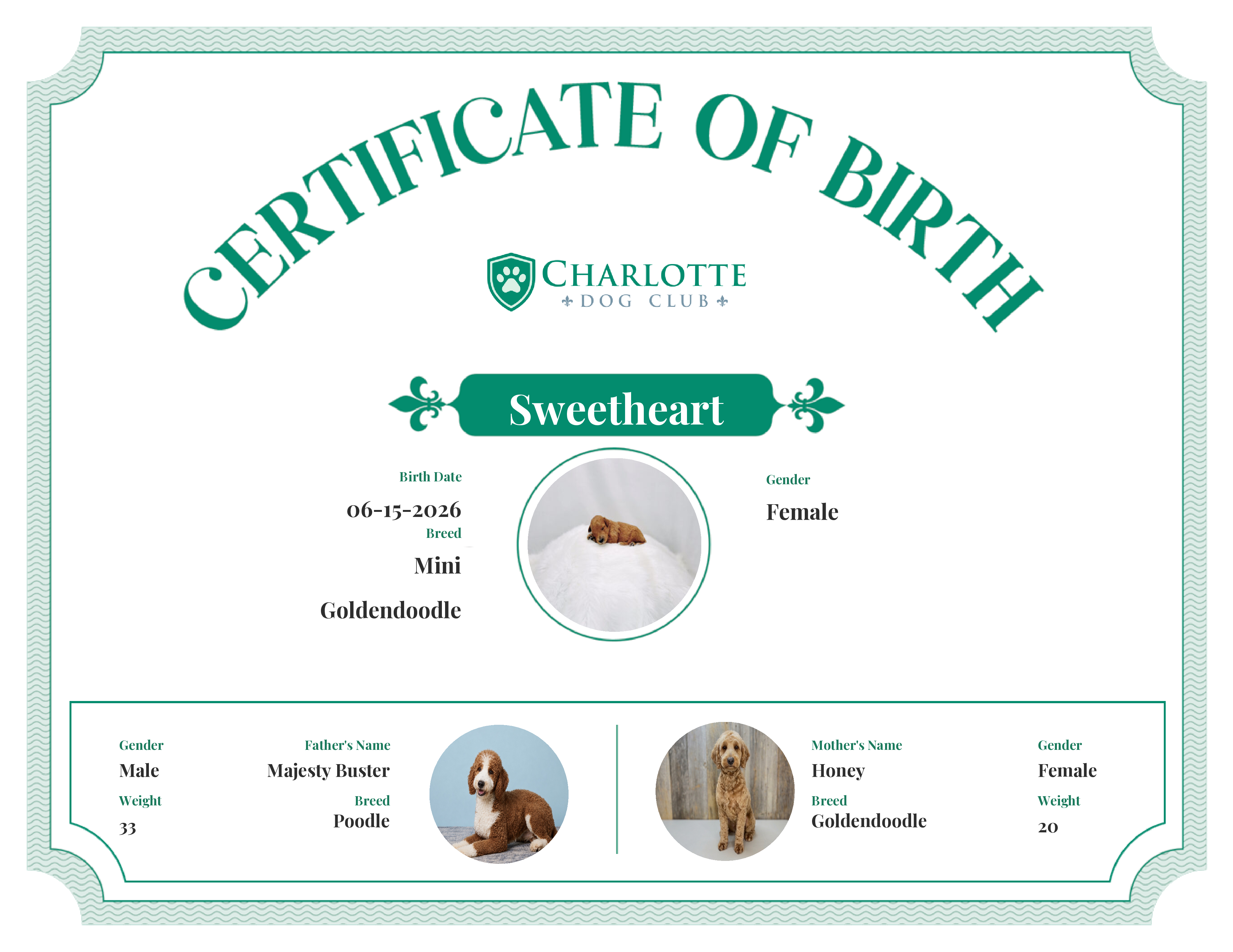 Sweetheart's Birth Certificate