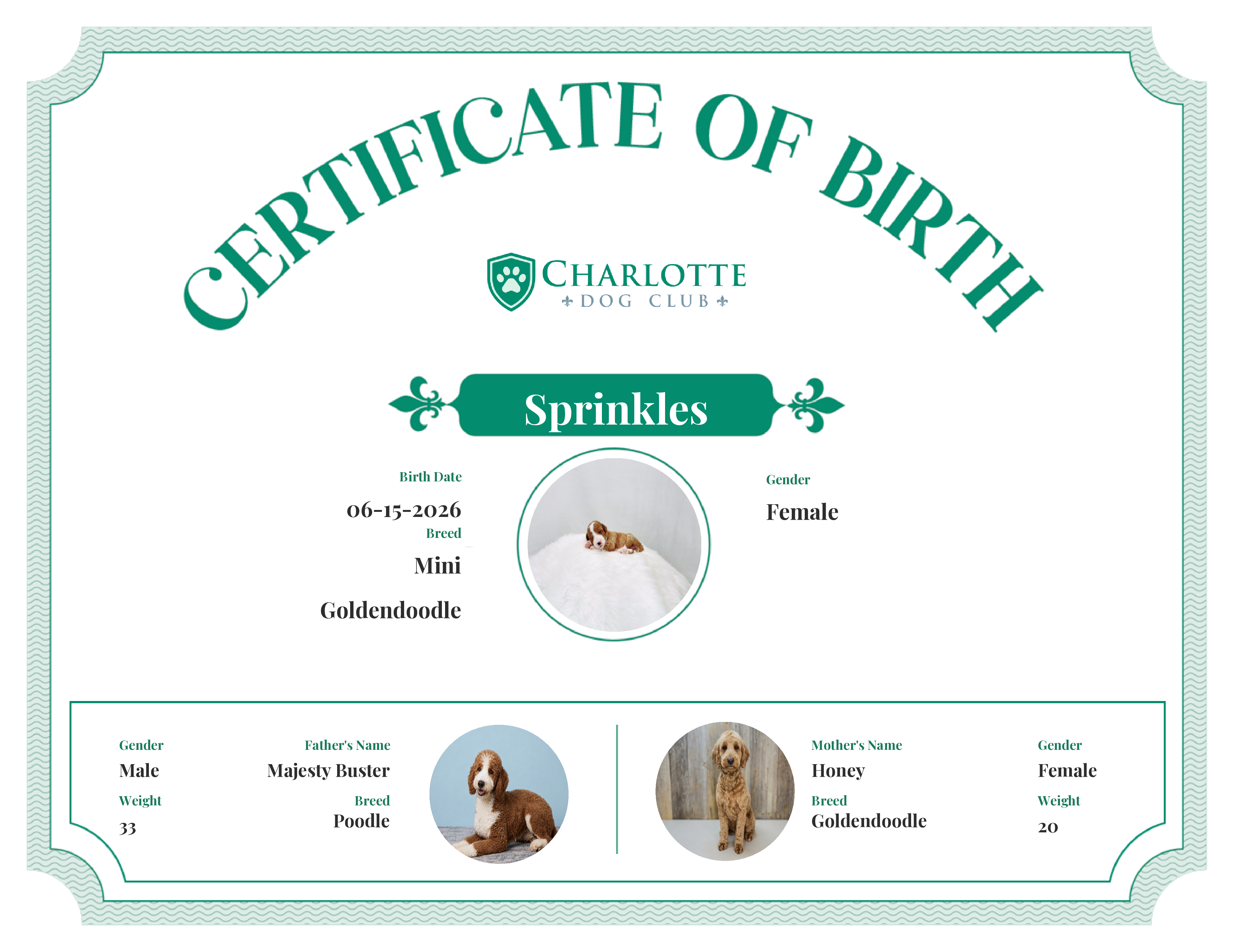 Sprinkles's Birth Certificate