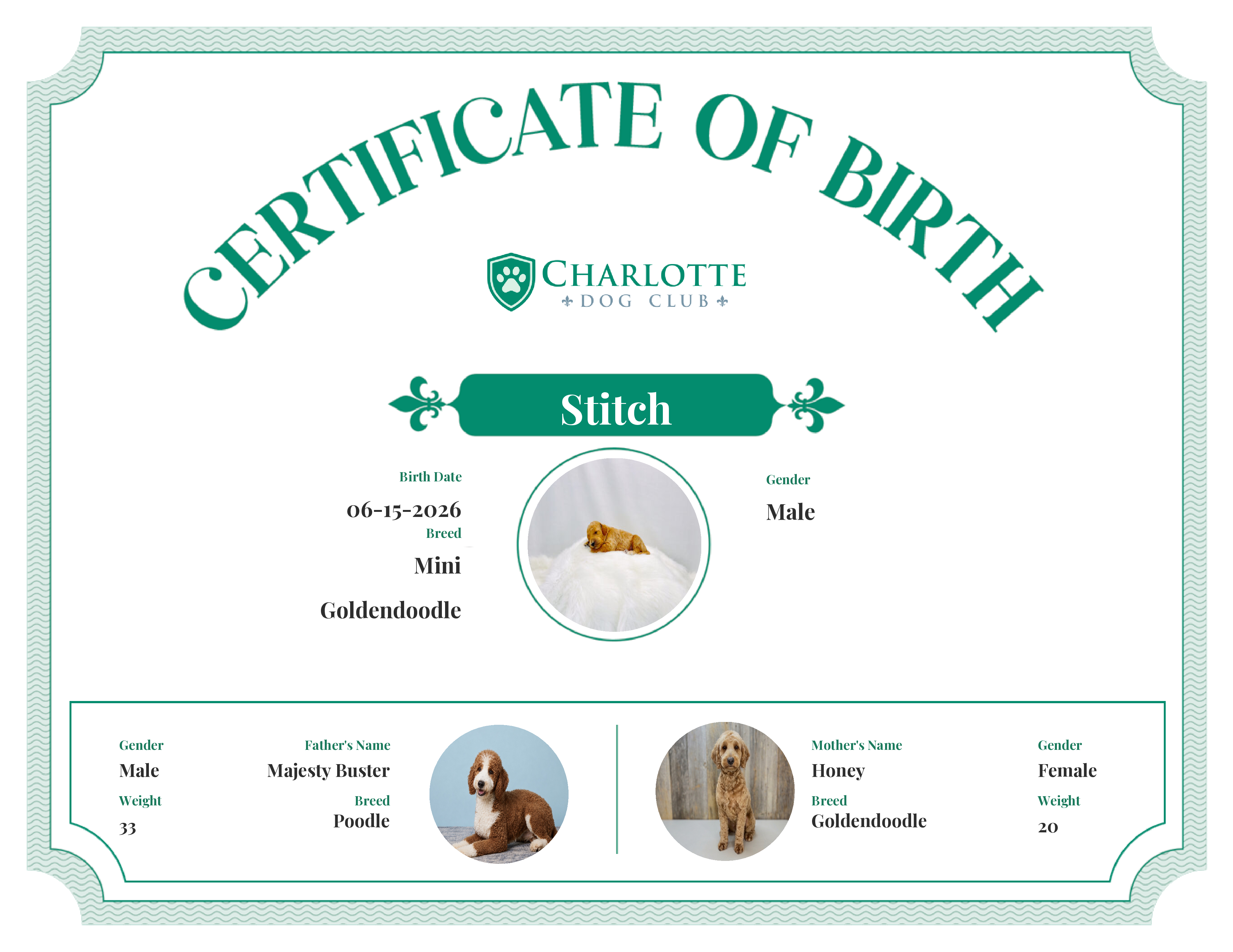 Stitch's Birth Certificate