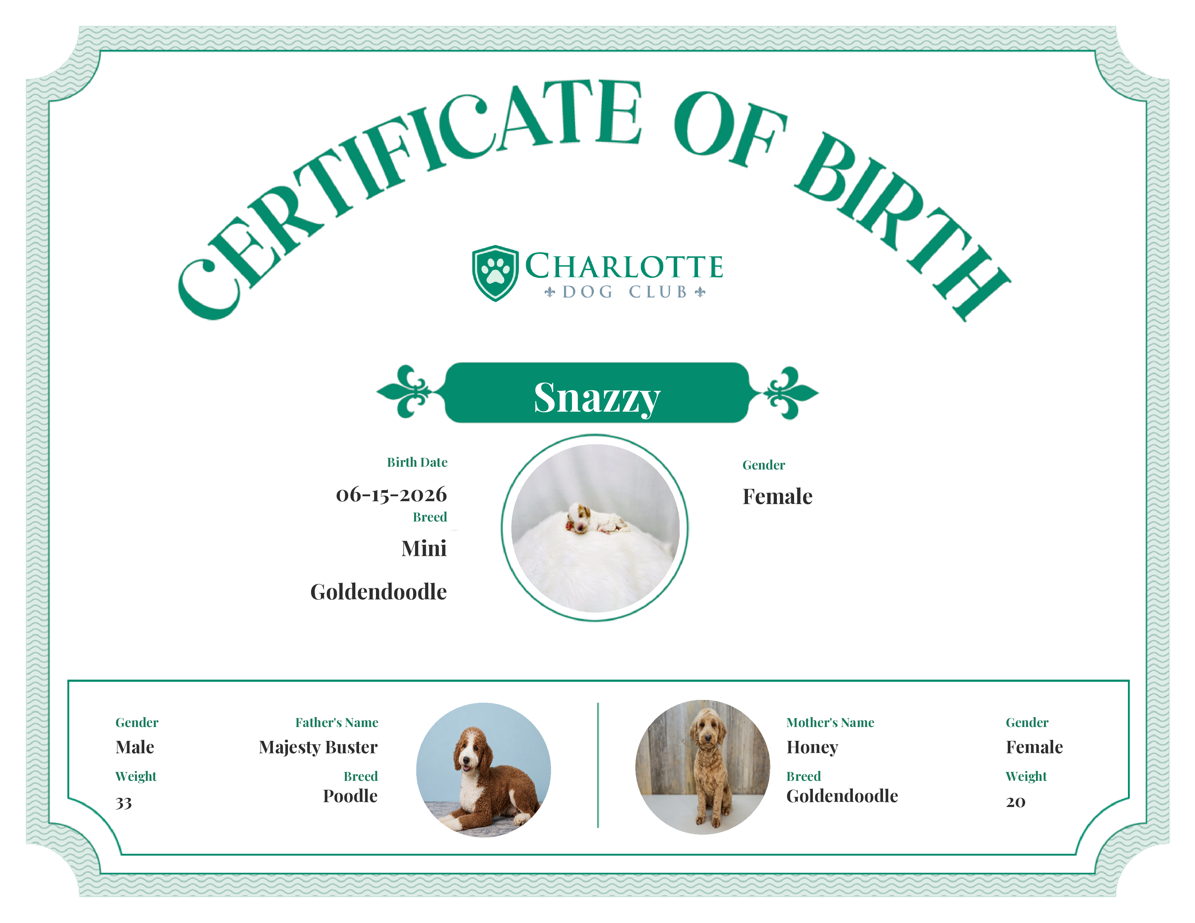 Snazzy's Birth Certificate