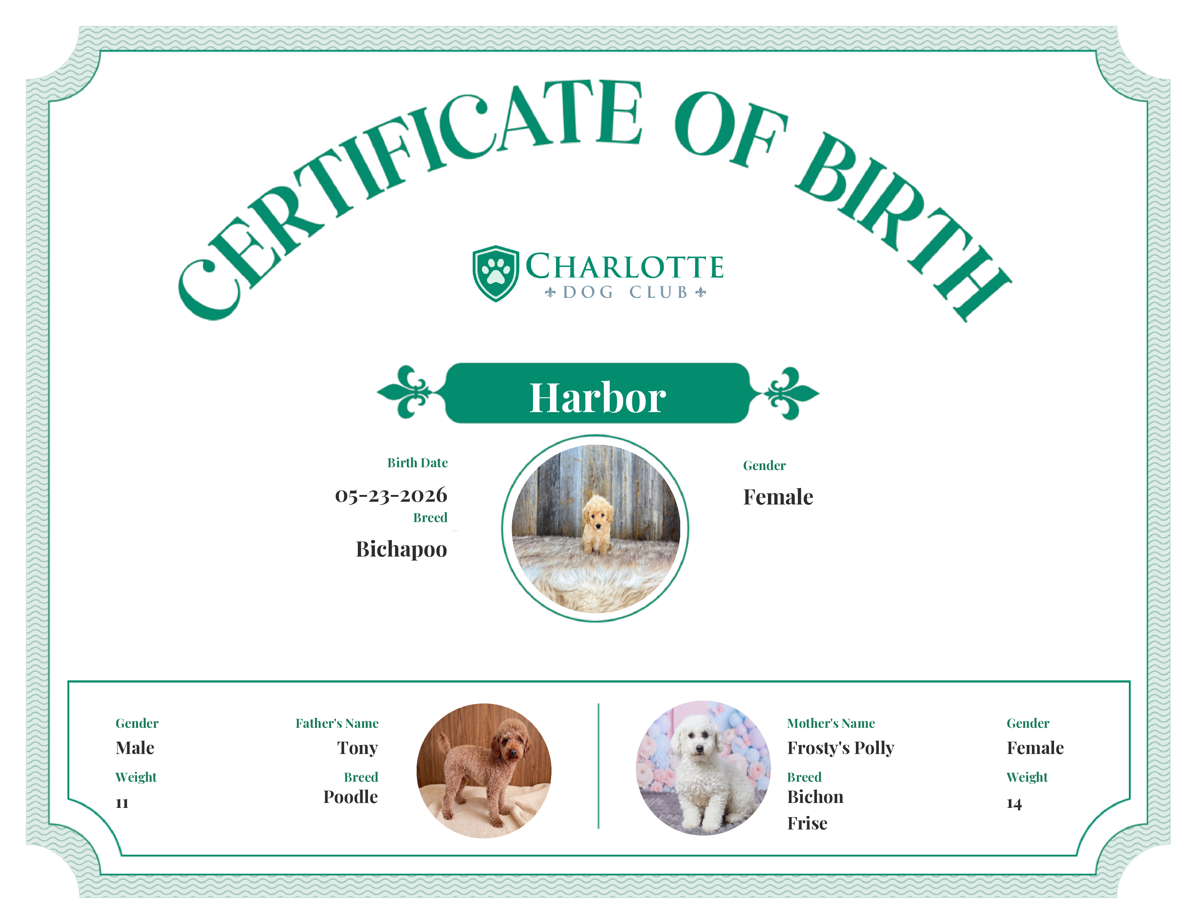 Harbor's Birth Certificate