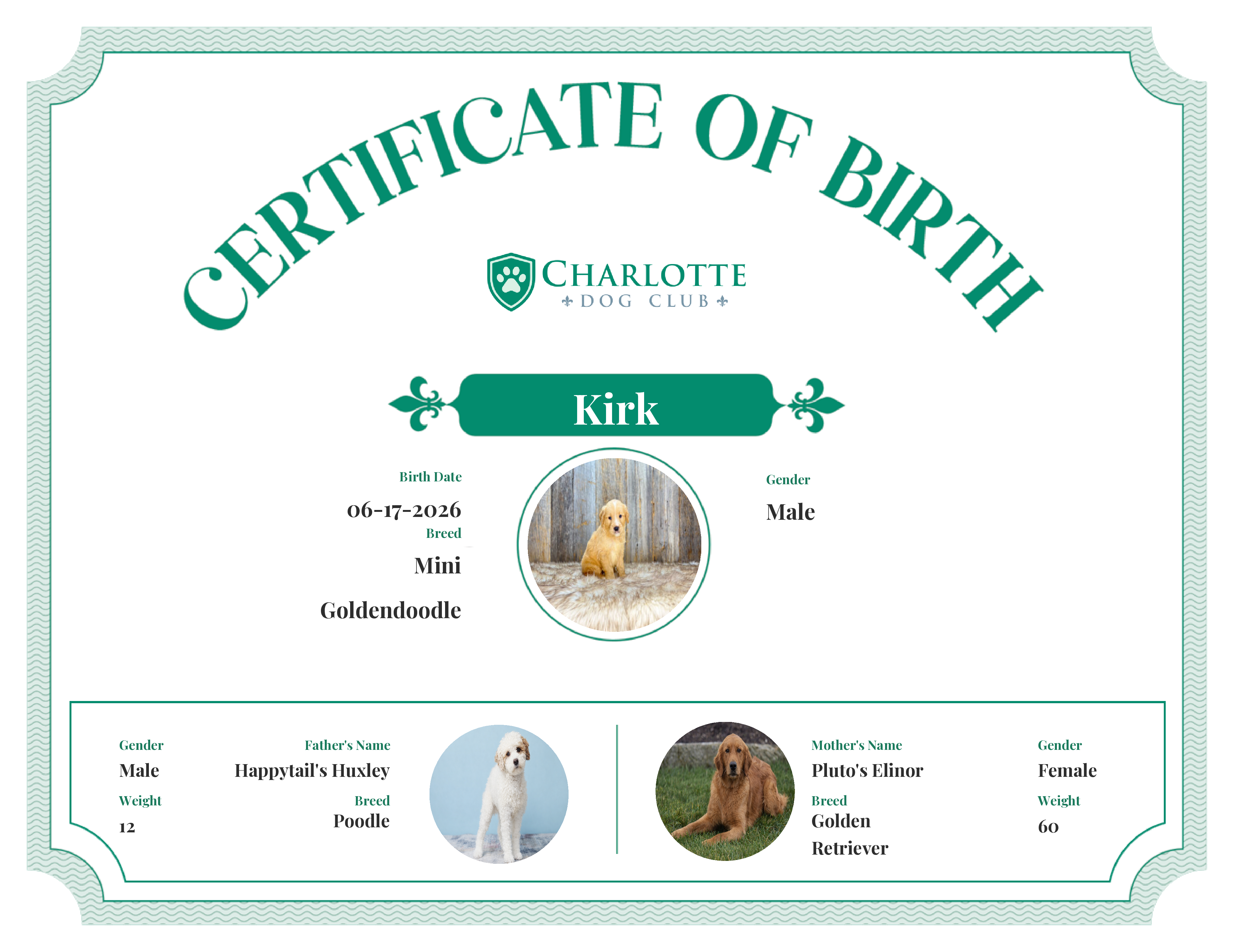 Kirk's Birth Certificate