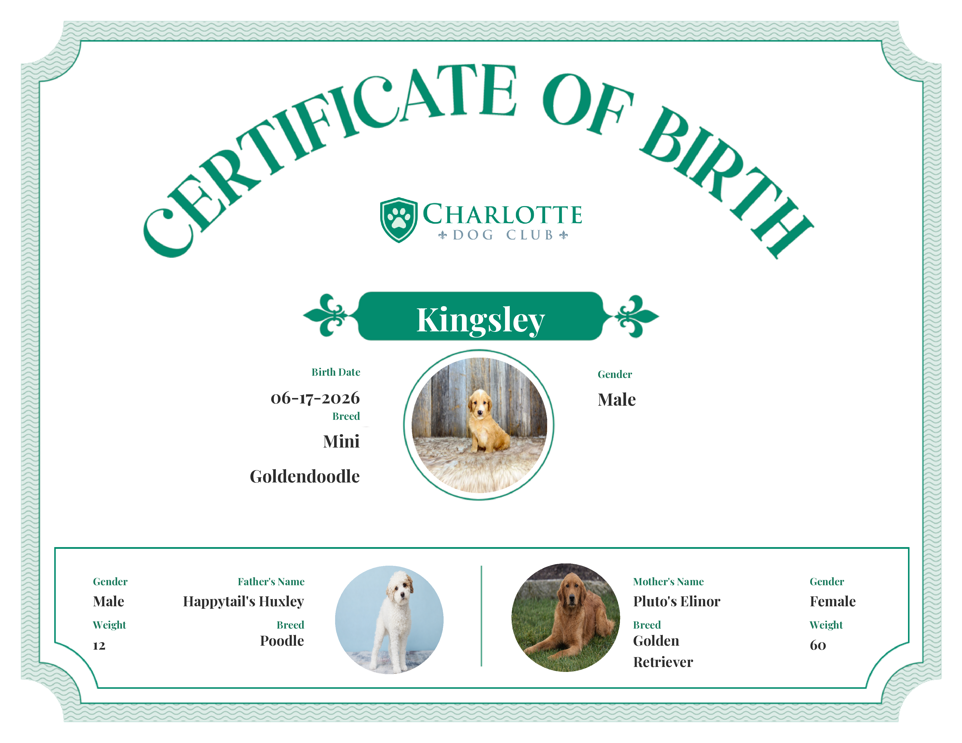 Kingsley's Birth Certificate