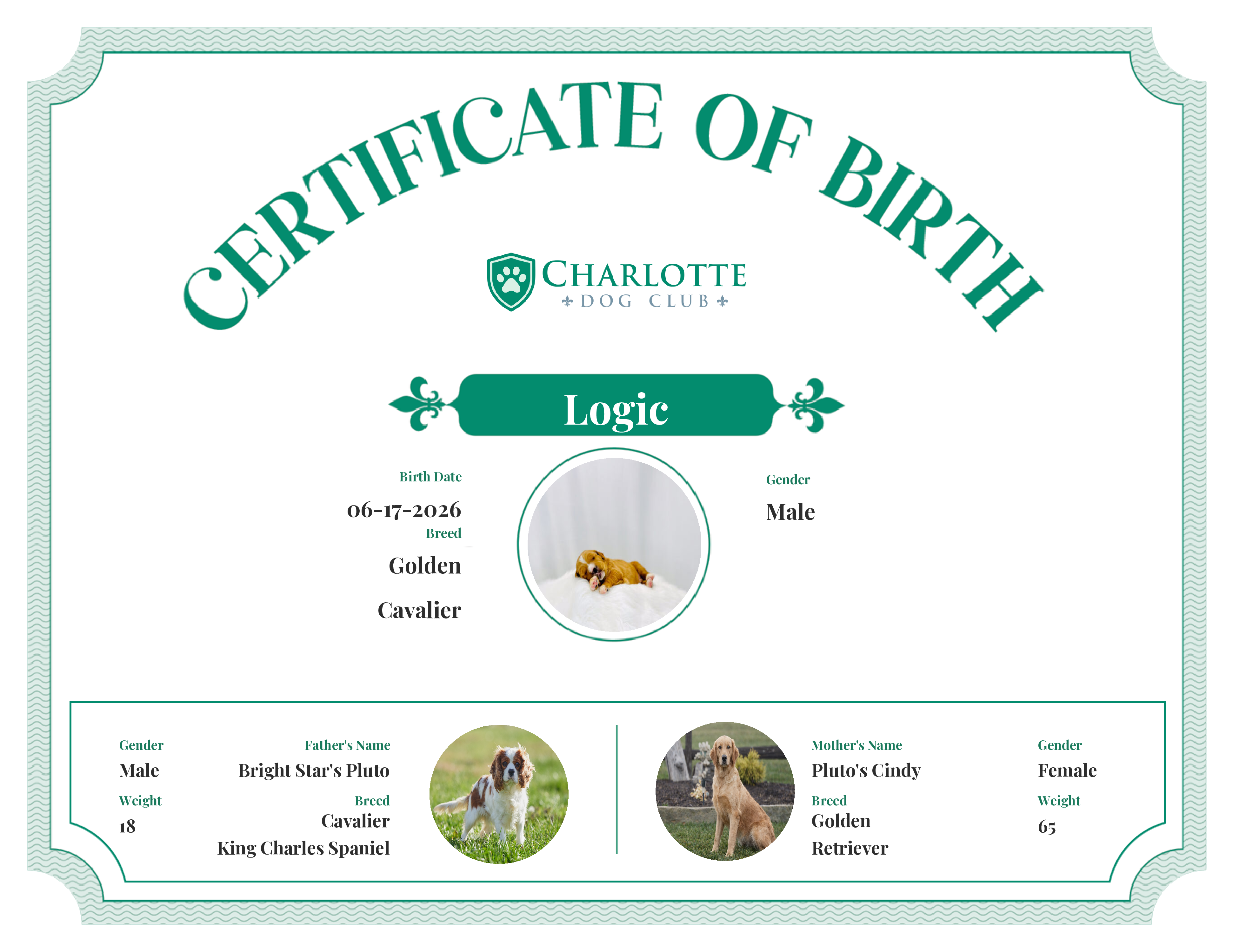 Logic's Birth Certificate