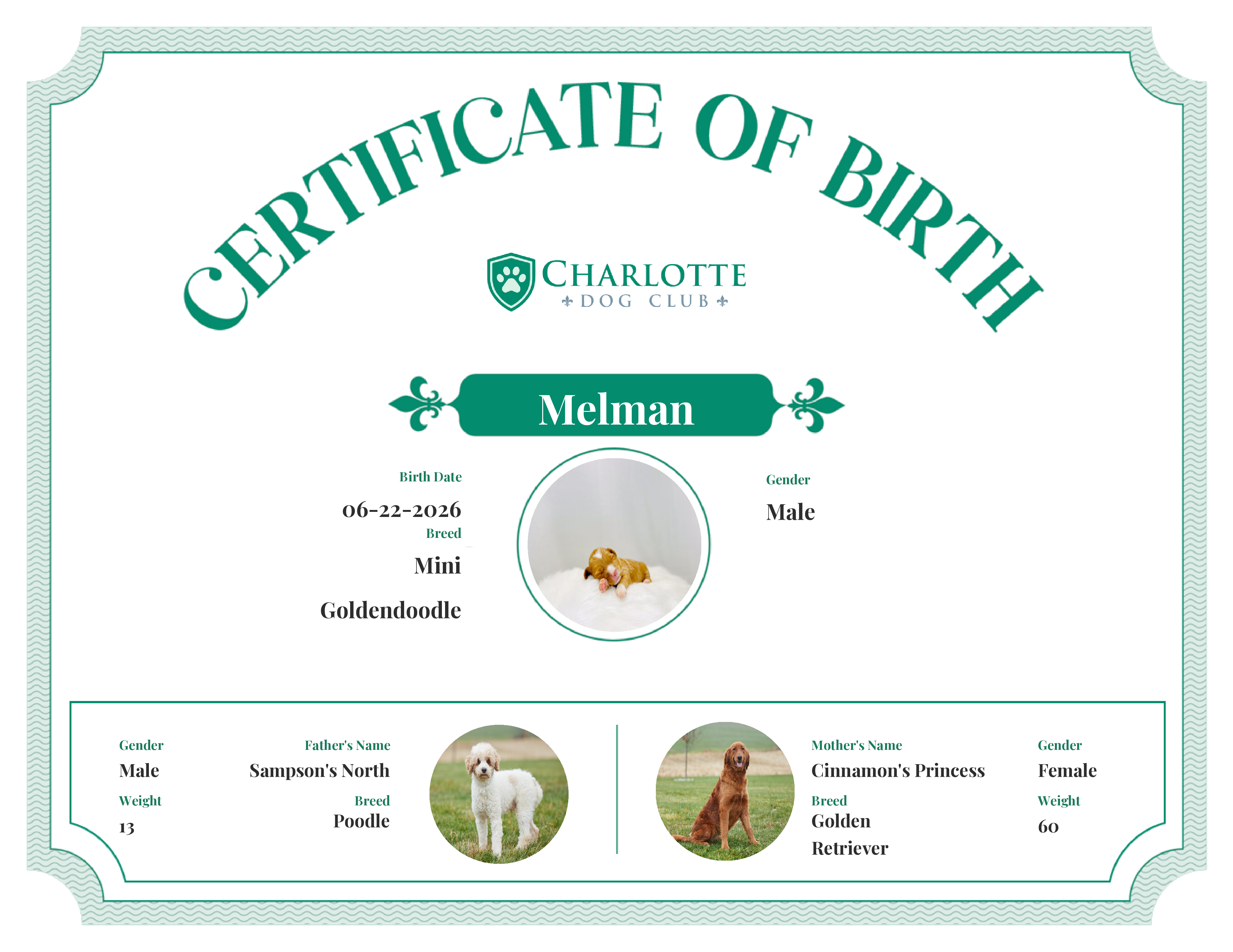 Melman's Birth Certificate
