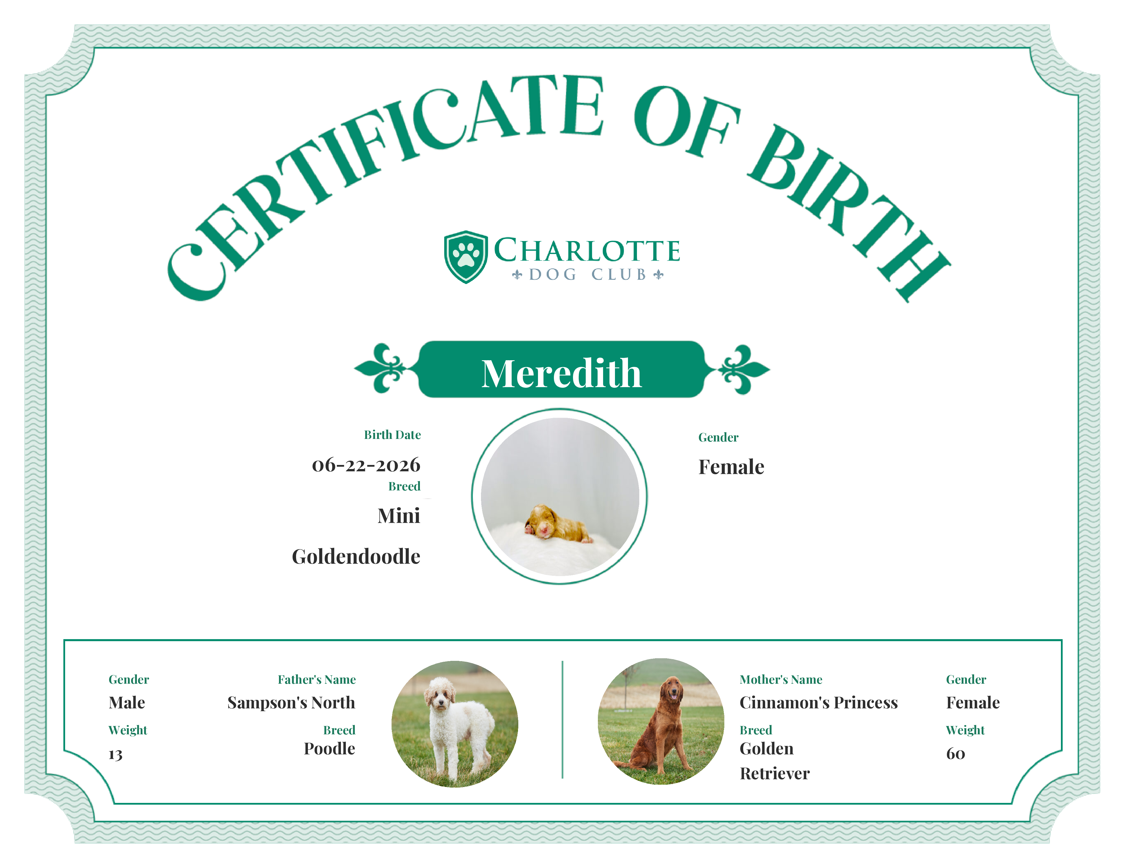 Meredith's Birth Certificate