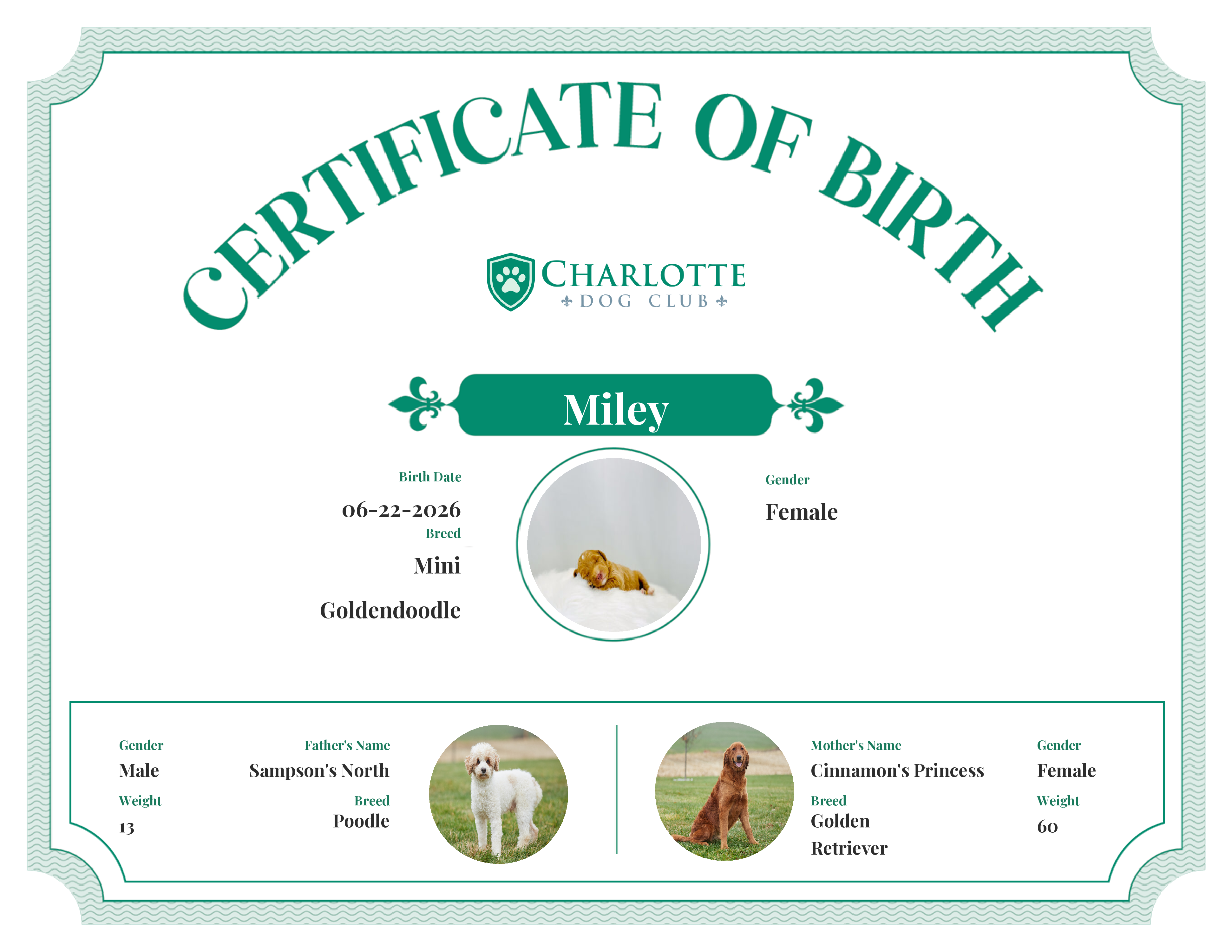 Miley's Birth Certificate