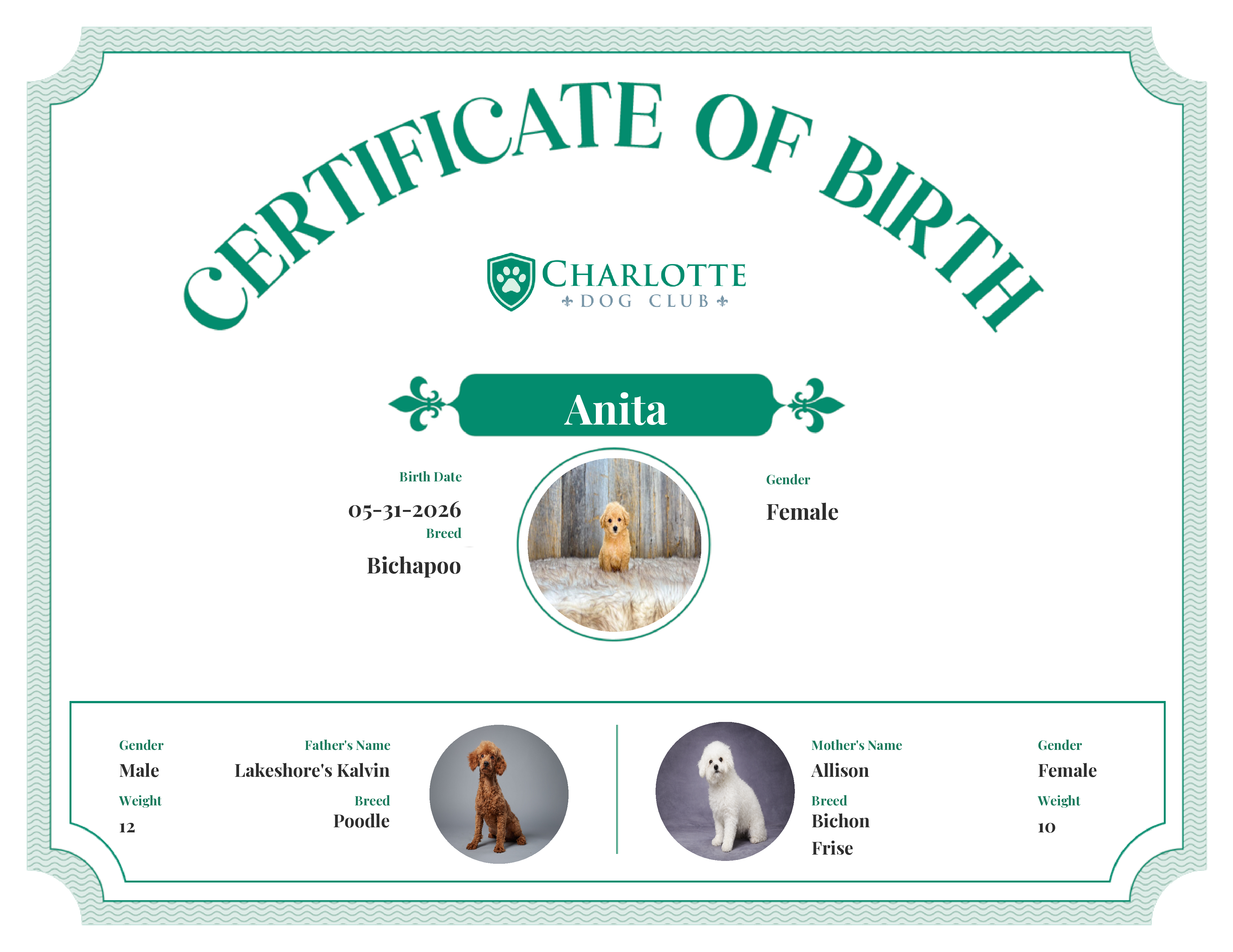 Anita's Birth Certificate