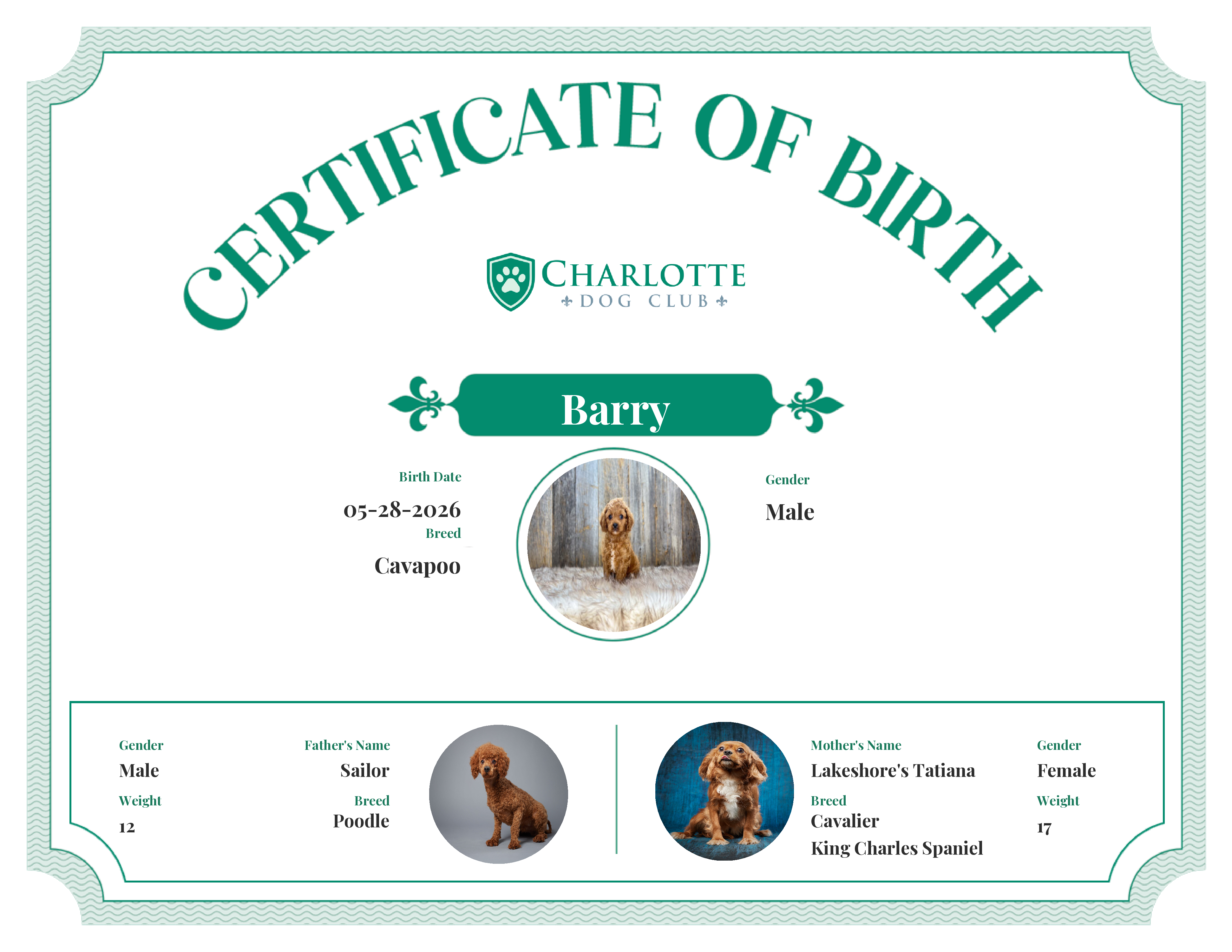 Barry's Birth Certificate